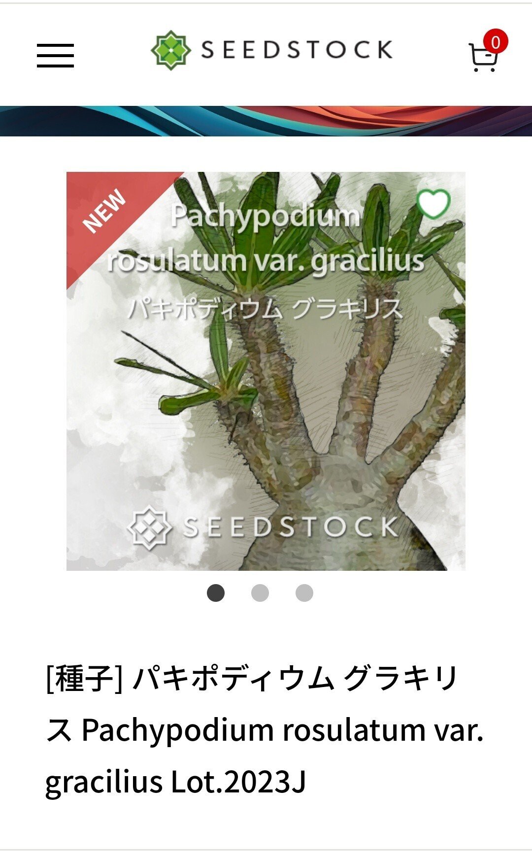 実生チャレンジ】出逢えても高いから播種してみよう【グラキリス】｜micyu