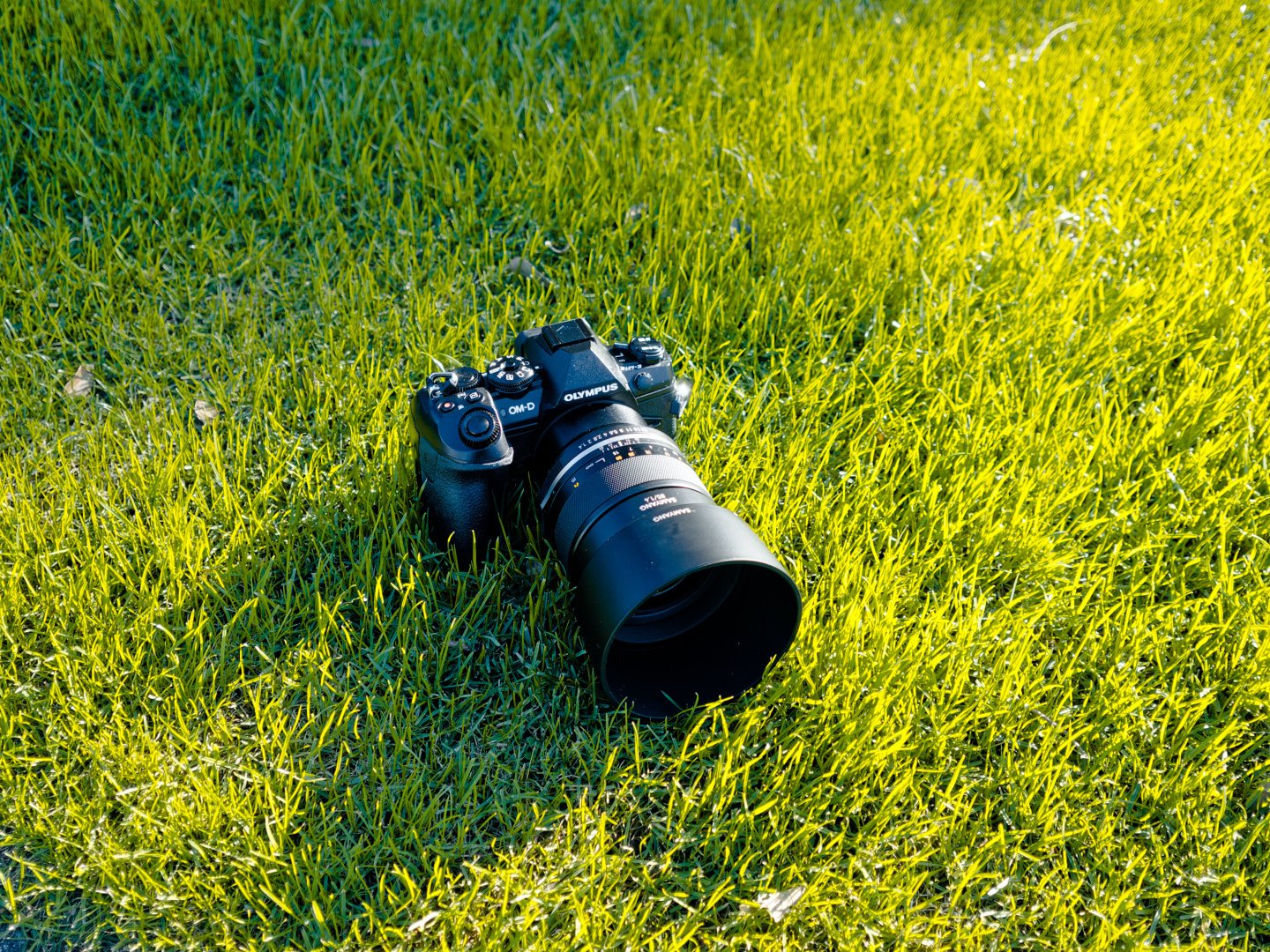 SAMYANG MF 85mm F1.4 MK2|しんはく(sinhaku) SAMYANG MF 85mm F1.4 MK2|しんはく(sinhaku)