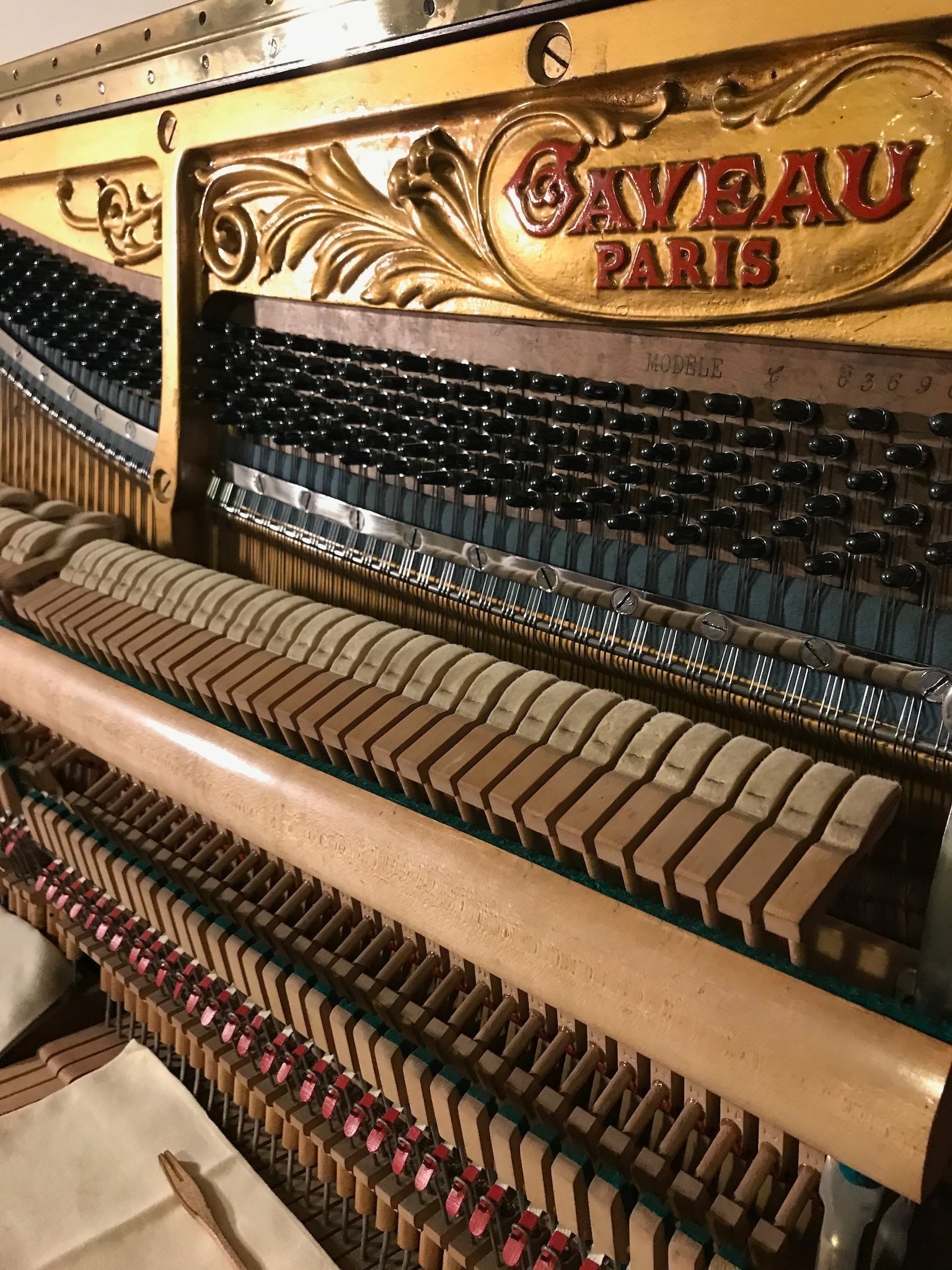 私の楽器のこと：1917年製GAVEAU｜飯田有抄