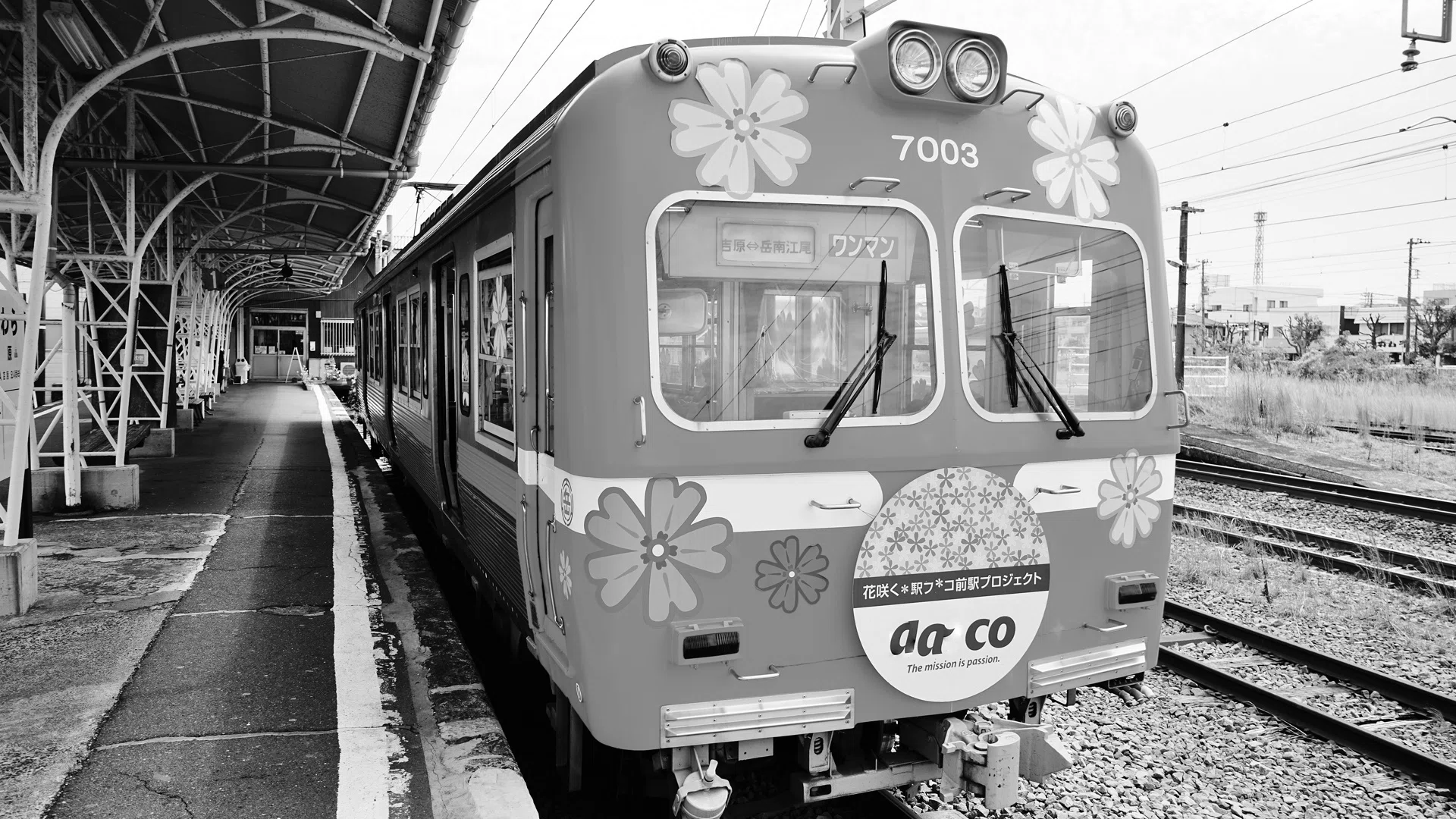 白黒写真を自動でカラーにする方法【Photoshop】｜つくたのそな