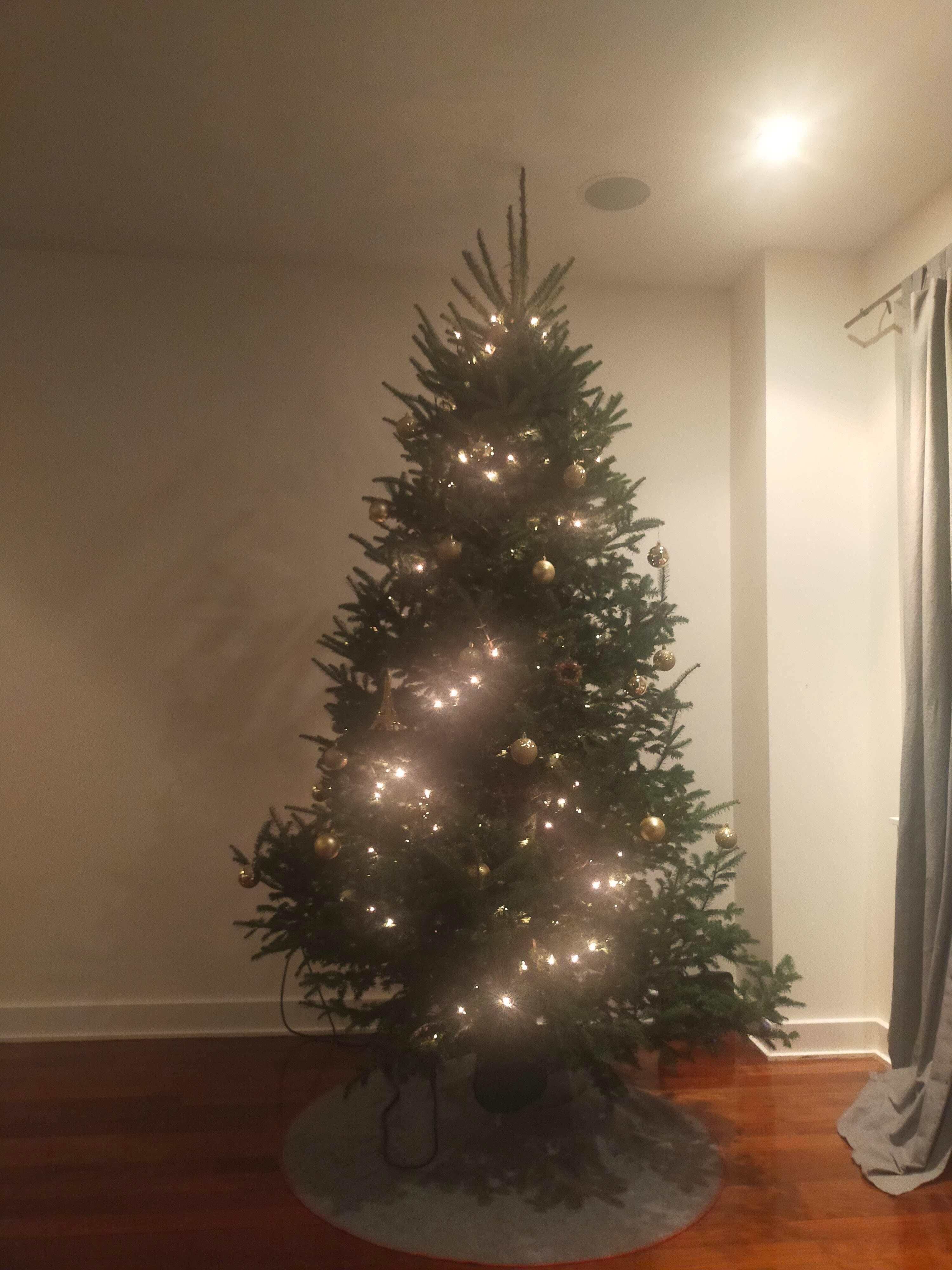 クリスマスツリー　カナダ インスタ映え確実！トロントを彩る5つの巨大なクリスマスツリー