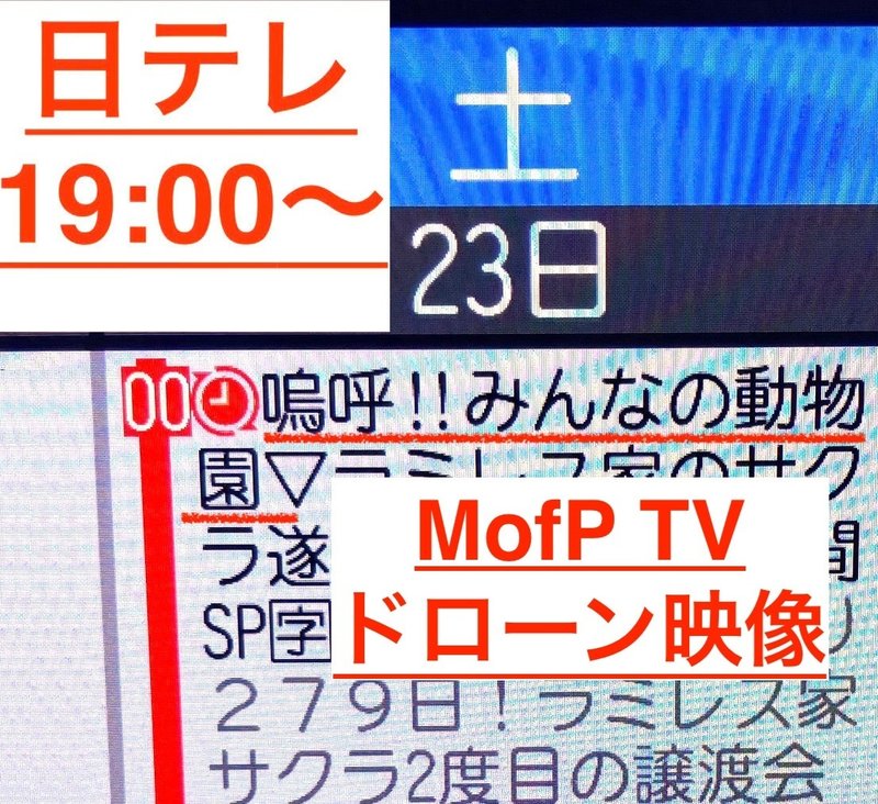 今夜7時から〜 みんなの動物園 見てね〜 今夜7時から〜 みんなの動物園 見てね〜