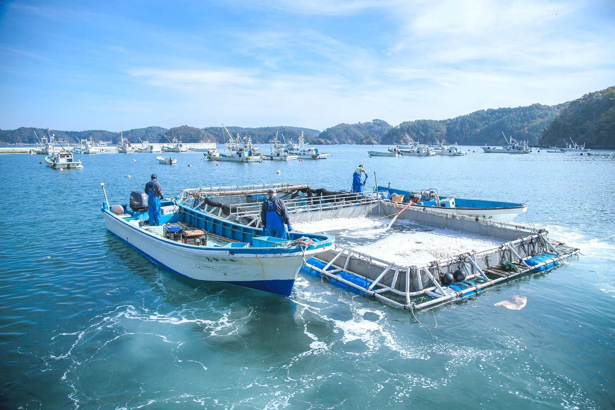 ブルーボトルコーヒー 代官山カフェ でFJ理事 鈴木真悟の銀鮭が採用