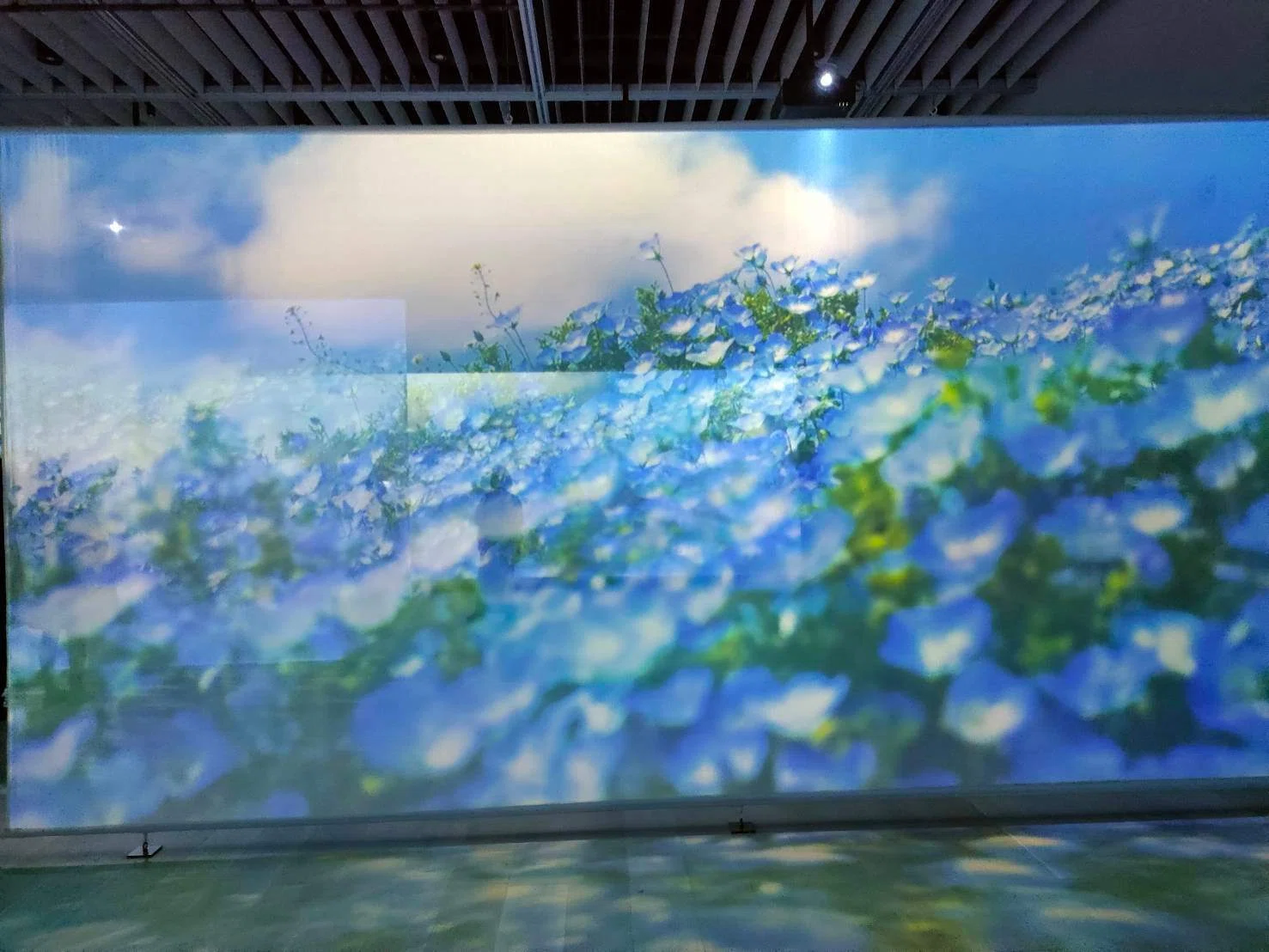 蜷川実花展｜saku