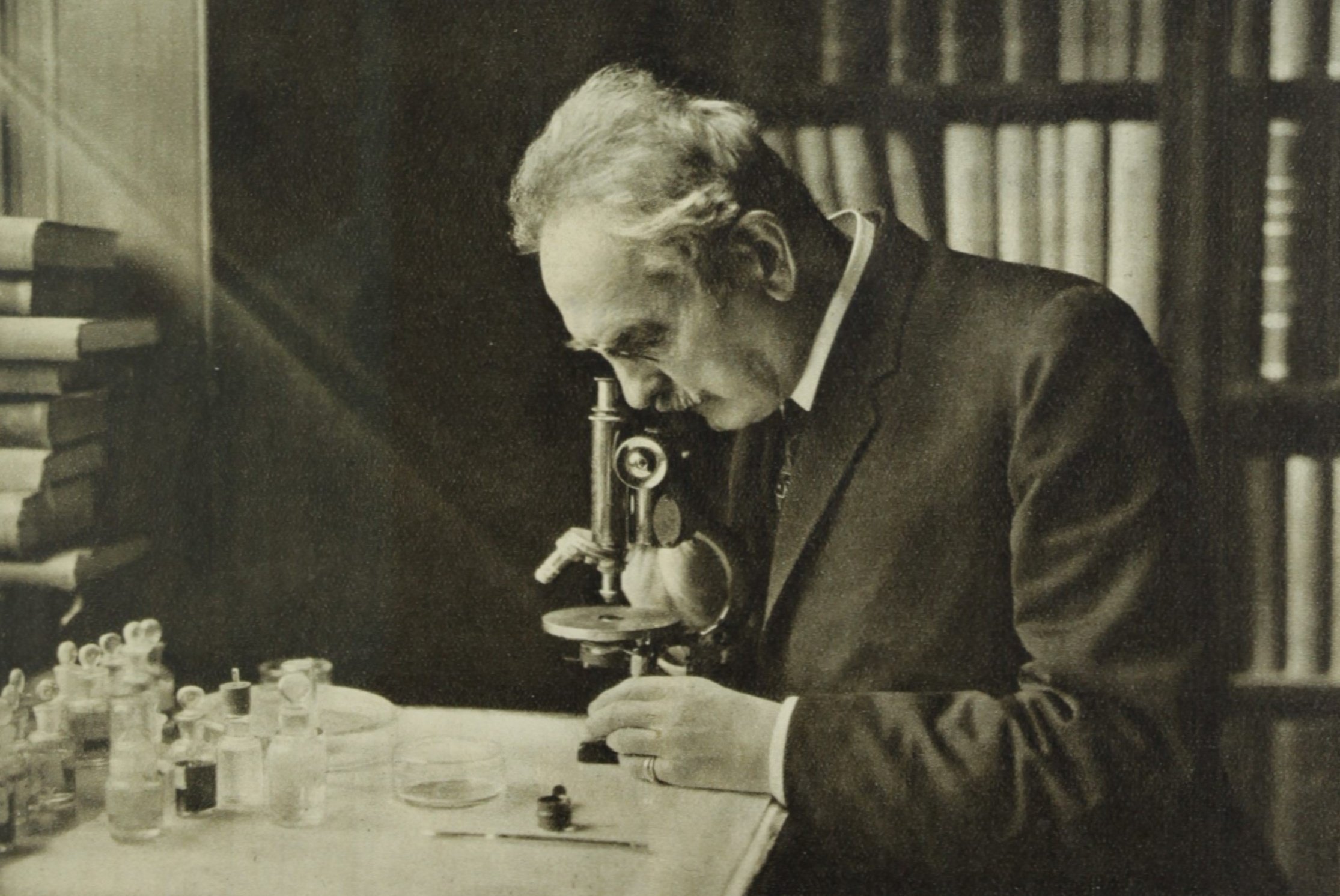 回想のモーリッシュ―ある自然科学者の人間像 (1979年) 回想のモーリッシュ―ある自然科学者の人間像 (1979年)