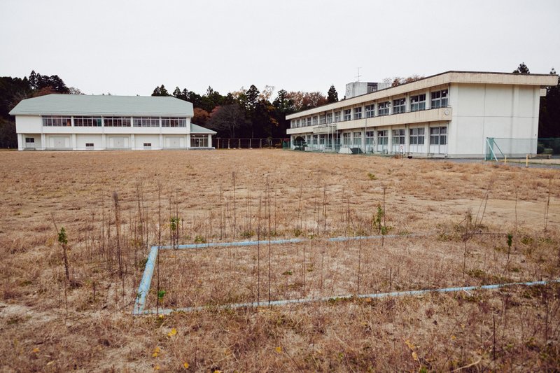 大野中学校の校舎と、草が伸びた校庭