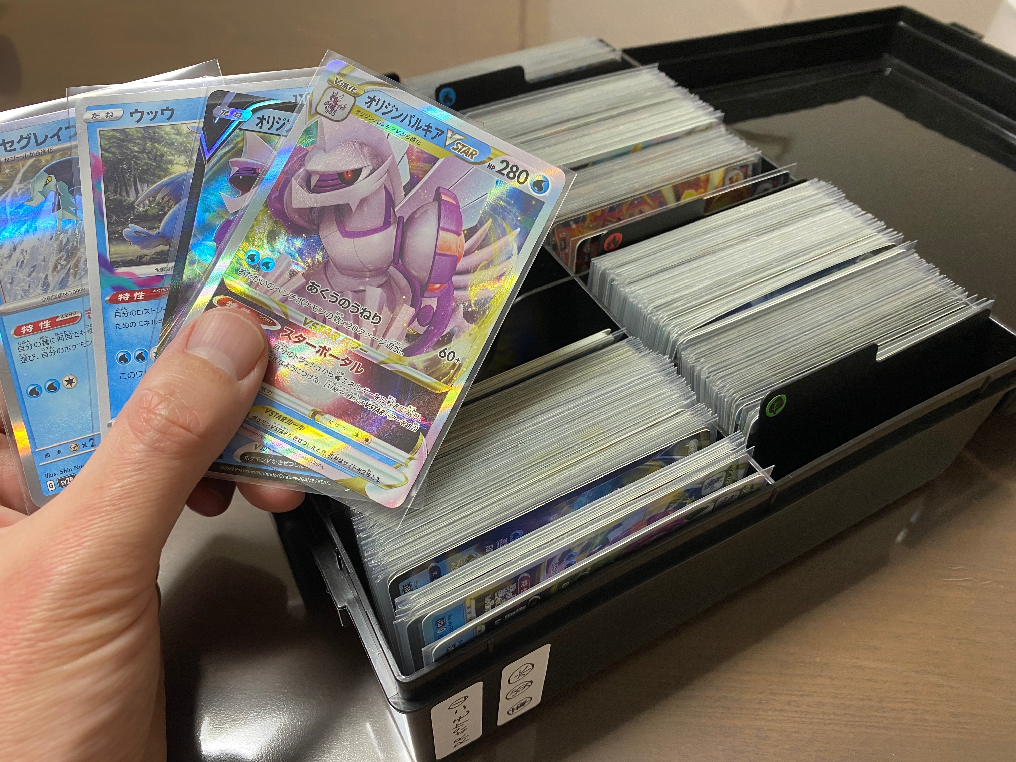 ポケカ】ポケモンカード整理術！（プレイヤー目線）｜コータスん