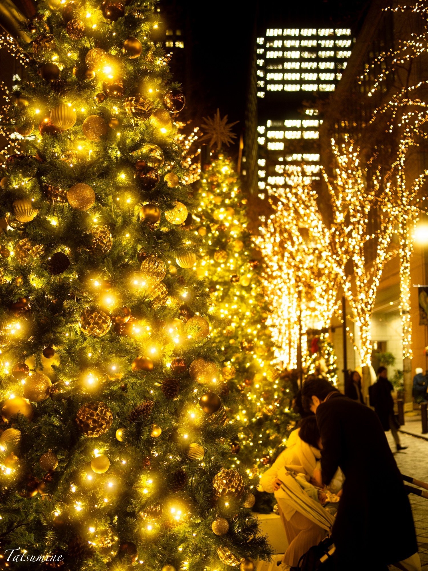 1)　夜のイルミネーション Nights of Christmas Lights Downtown Tokyo 首都圏のライトアップと