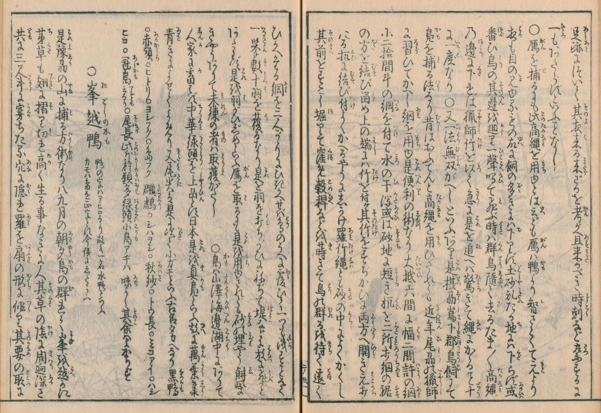 稀本日本山海名産圖會五冊揃い(木版画本）寛政11年出版、