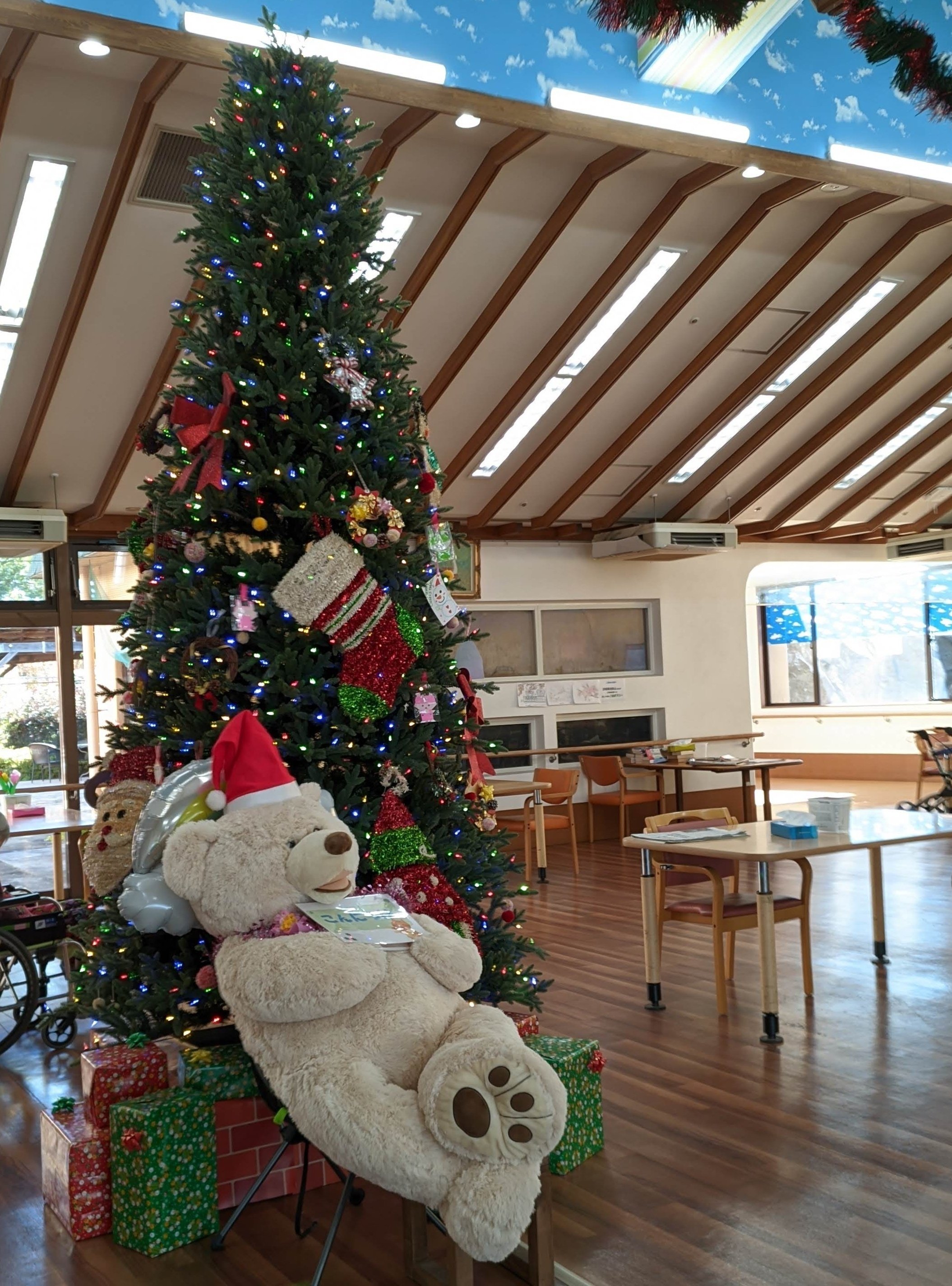 柊（ヒイラギ）🎄クリスマス🎅によせて｜湯じいじ👨‍🦳envspa