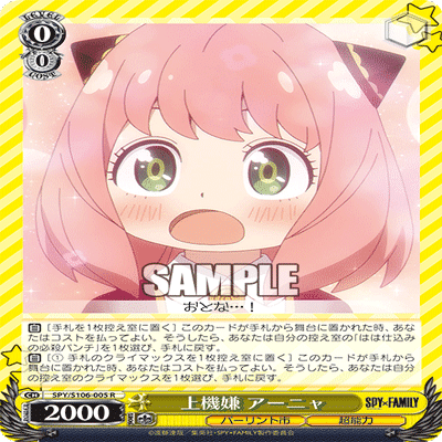 SPYの正解とは｜やっくん