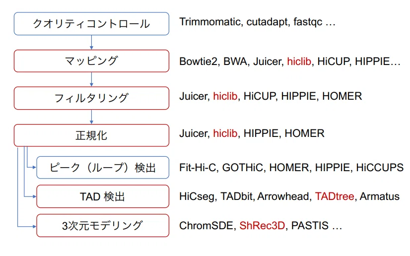 Hi-C法の原理と目的、解析ツール｜宇田川畏日の備忘録