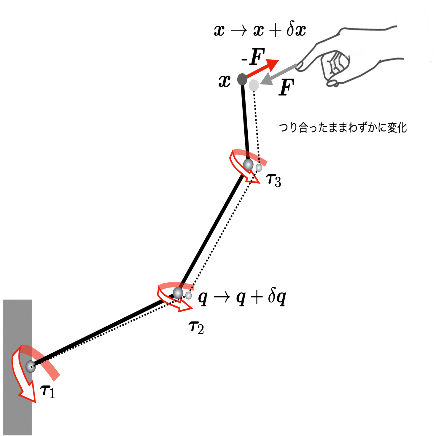 原理運動 動かして学ぶバイオメカニクス #29 〜ヤコビ行列#3｜SPORTS SENSING