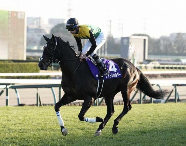 イクイノックス スターズオンアース タスティエーラ ドゥラメンテ 4点セット イクイノックス スターズオンアース タスティエーラ ドゥ