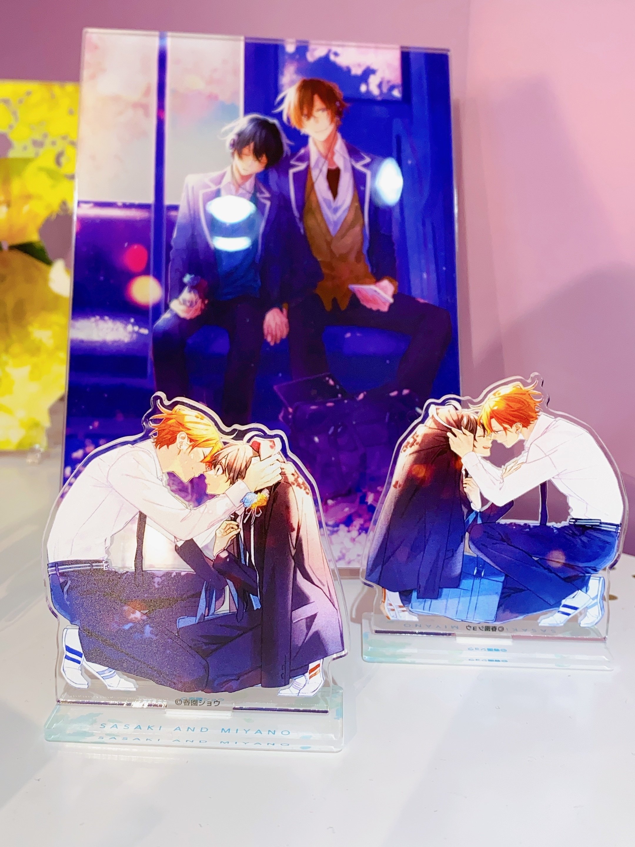 佐々木と宮野 ぱしゃこれ コンプリート 全39種 佐々木と宮野 ぱしゃ