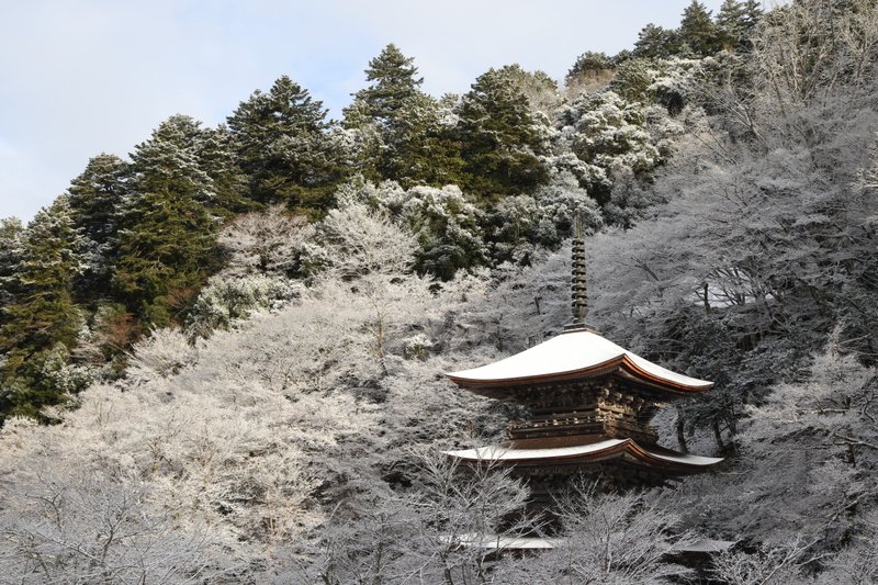 雪化粧した三重塔と、とり囲む木々の白い枝がとても綺麗でした