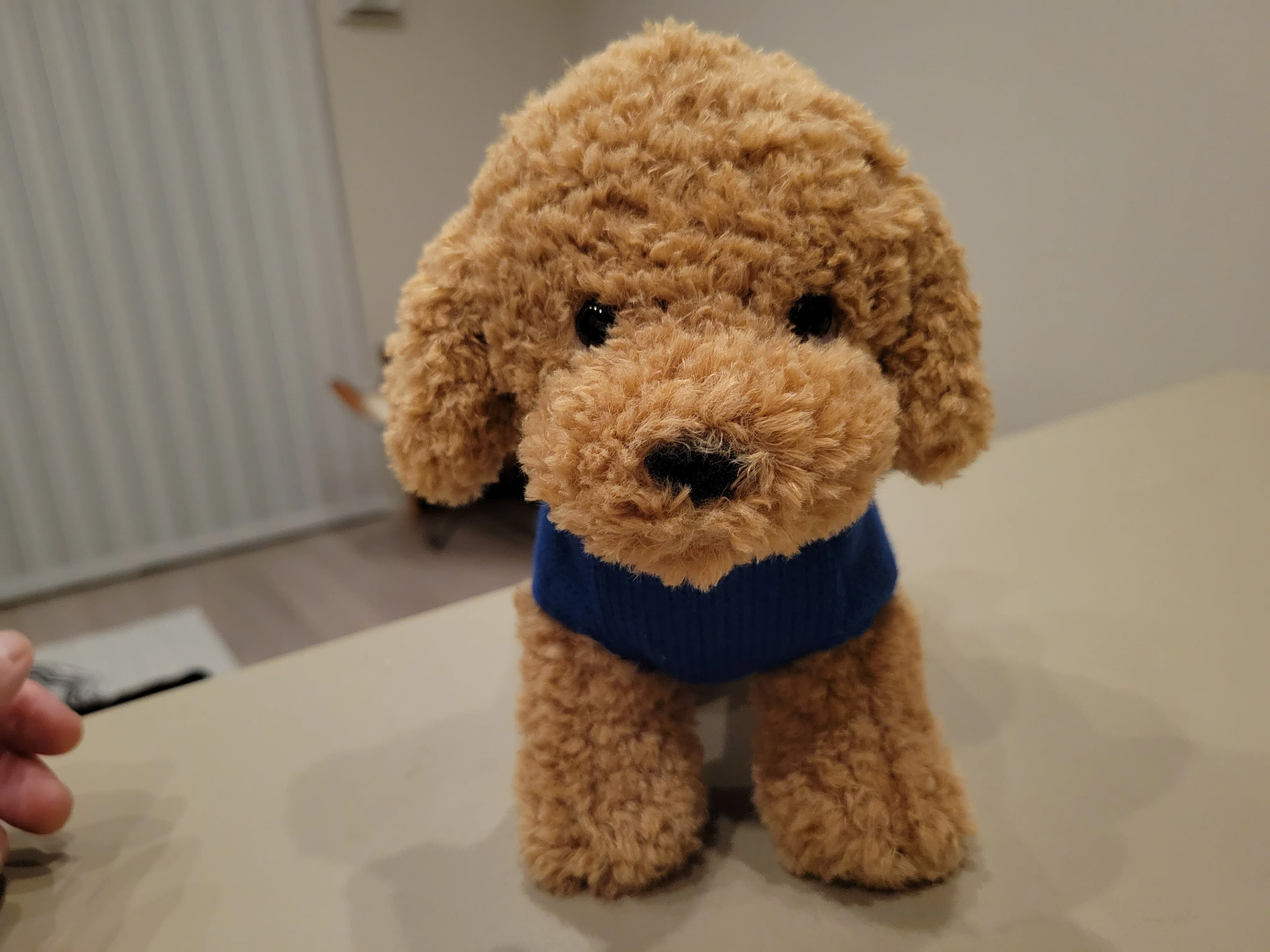 ぬい撮りSP】ぬいぐるみ鑑定士が選ぶ！今年のイチオシぐるみ