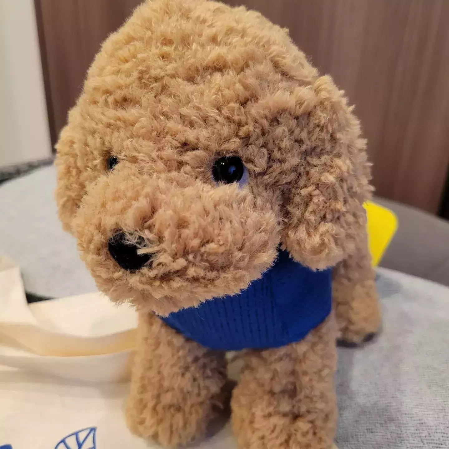 非売品☆サンレモン☆オリジナル☆犬のぬいぐるみ☆①☆残1 ぬい撮りSP】ぬいぐるみ鑑定士が選ぶ！今年のイチオシぐるみ