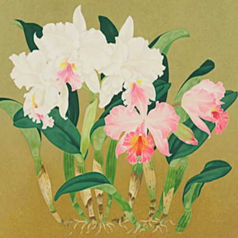 森田りえ子】 版画 / シルクスクリーン「カトレヤ」 査定 買取 致し