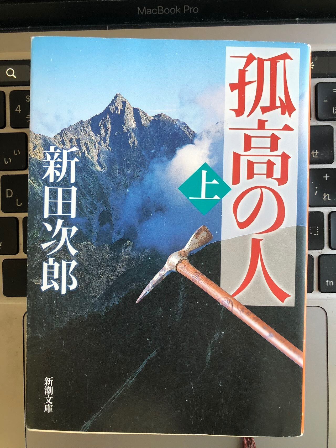 ご機嫌な趣味は人それぞれ。「孤高の人」を読んでいる。〜摘読日記_59