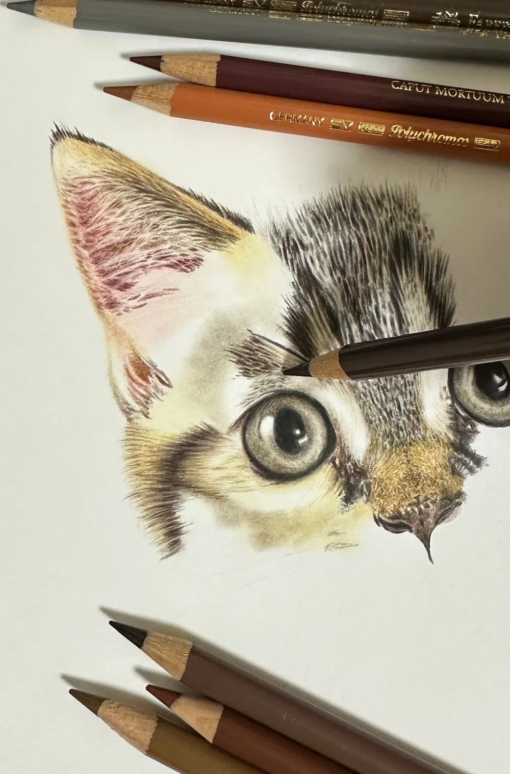 猫色鉛筆画 パステルアート 猫 水彩色鉛筆で描くネコ