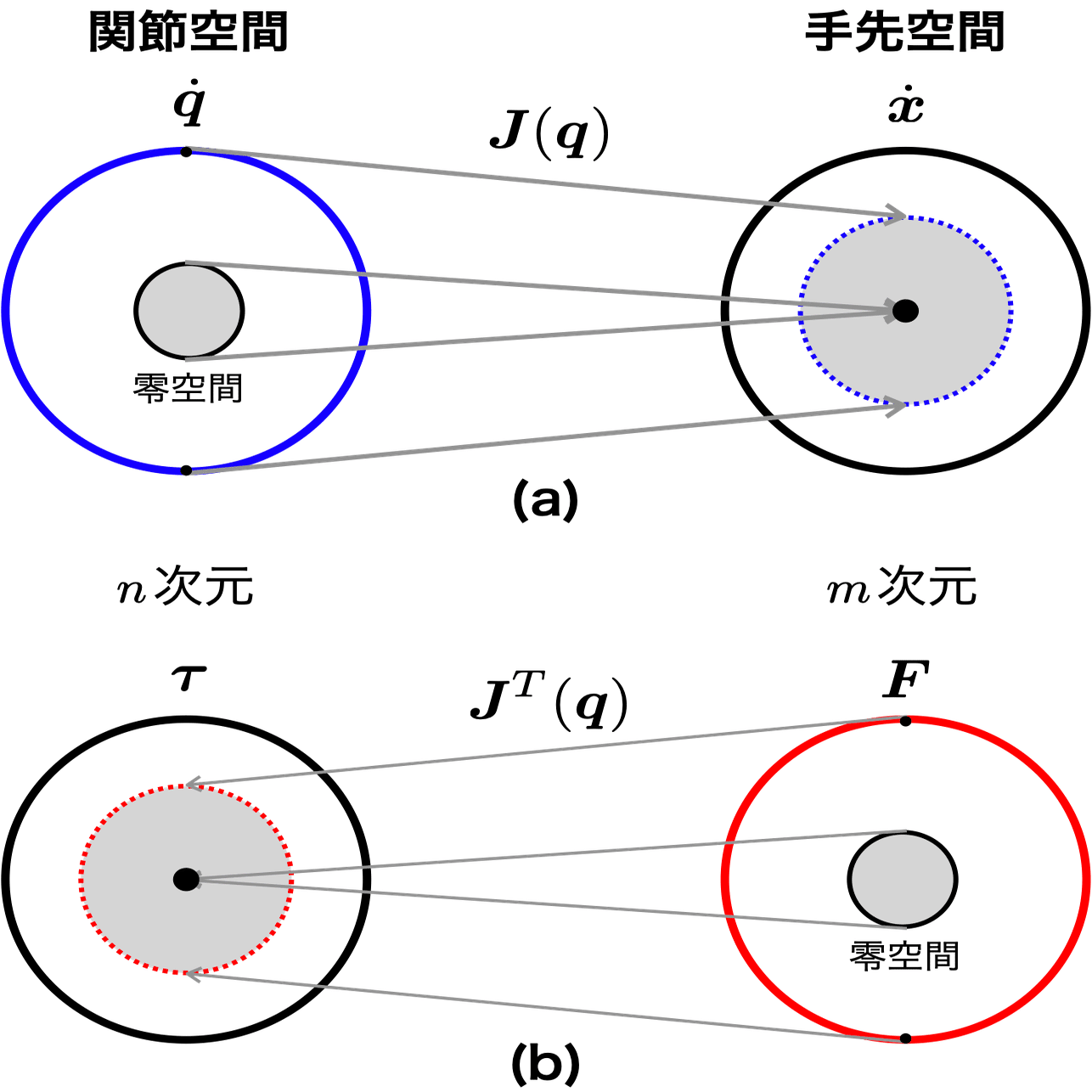動かして学ぶバイオメカニクス #29 〜ヤコビ行列#3｜SPORTS SENSING
