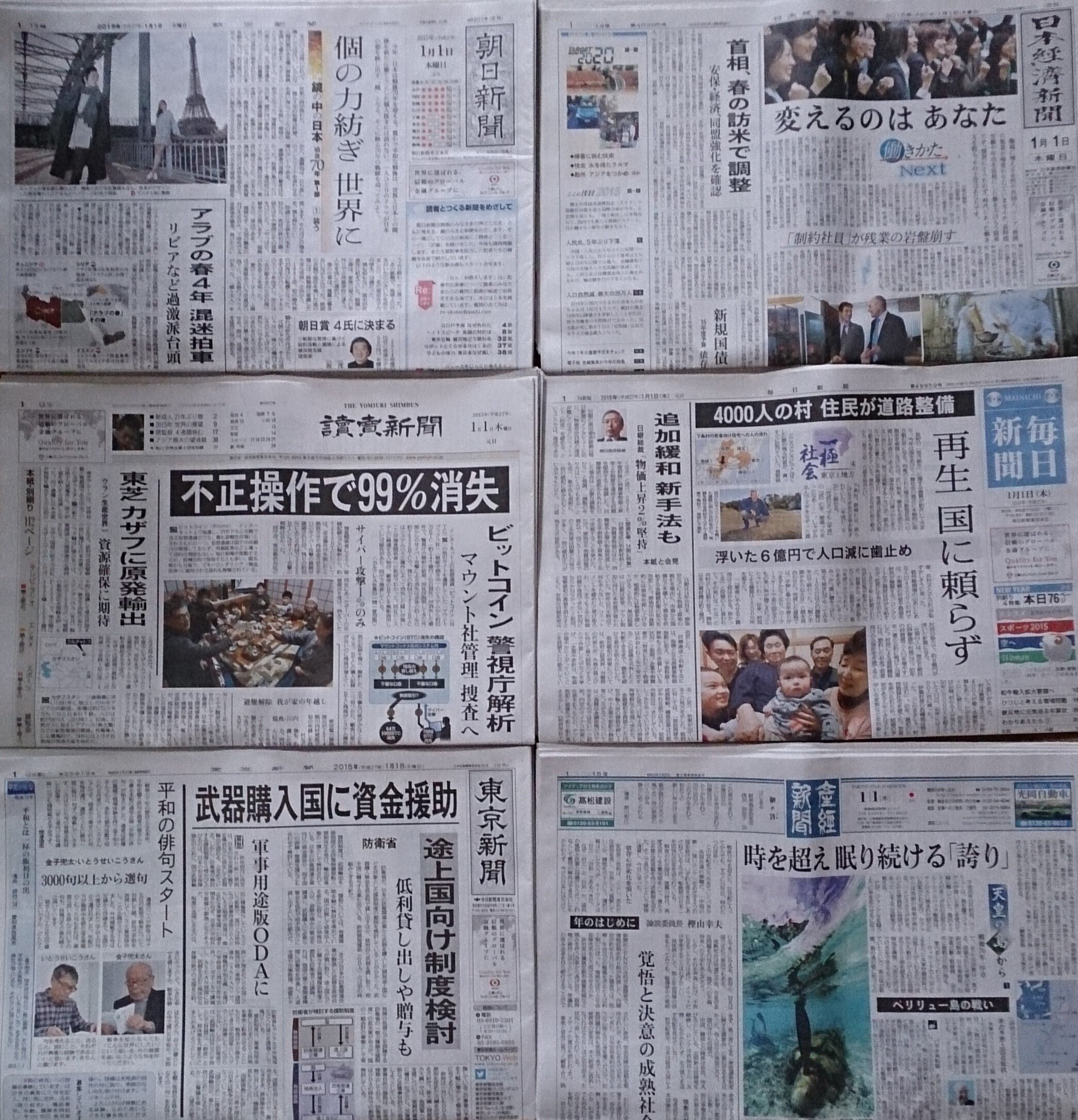 全国版　月刊　百貨店新聞広告集 正月新聞広告のマニアックな世界 2015年｜田中裕士