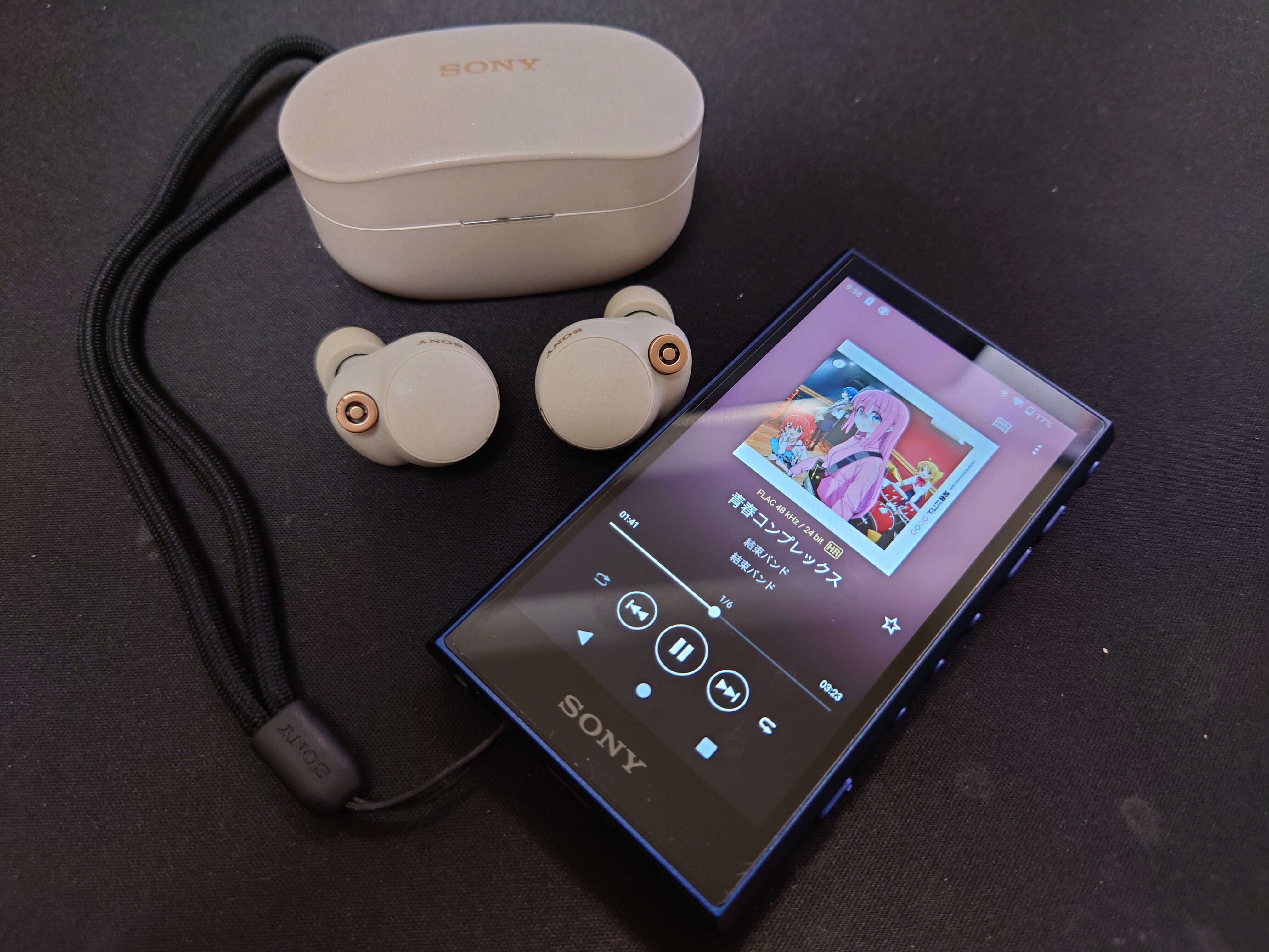 Y388SONY ウォークマン NW-A300series The Walkman Blog: Sony NW-A300 Walkman Revealed