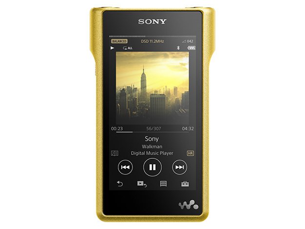 Y391 SONY ウォークマン NW-A300series SONY SONY（ソニー） ウォークマン A300シリーズ NW-A306 L