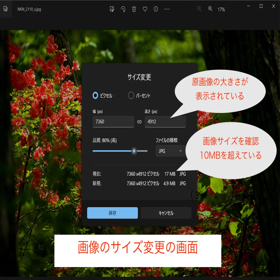 写真確認用 Amazon | セキグチ(Sekiguchi) モンチッチ プレミアムスタンダード S