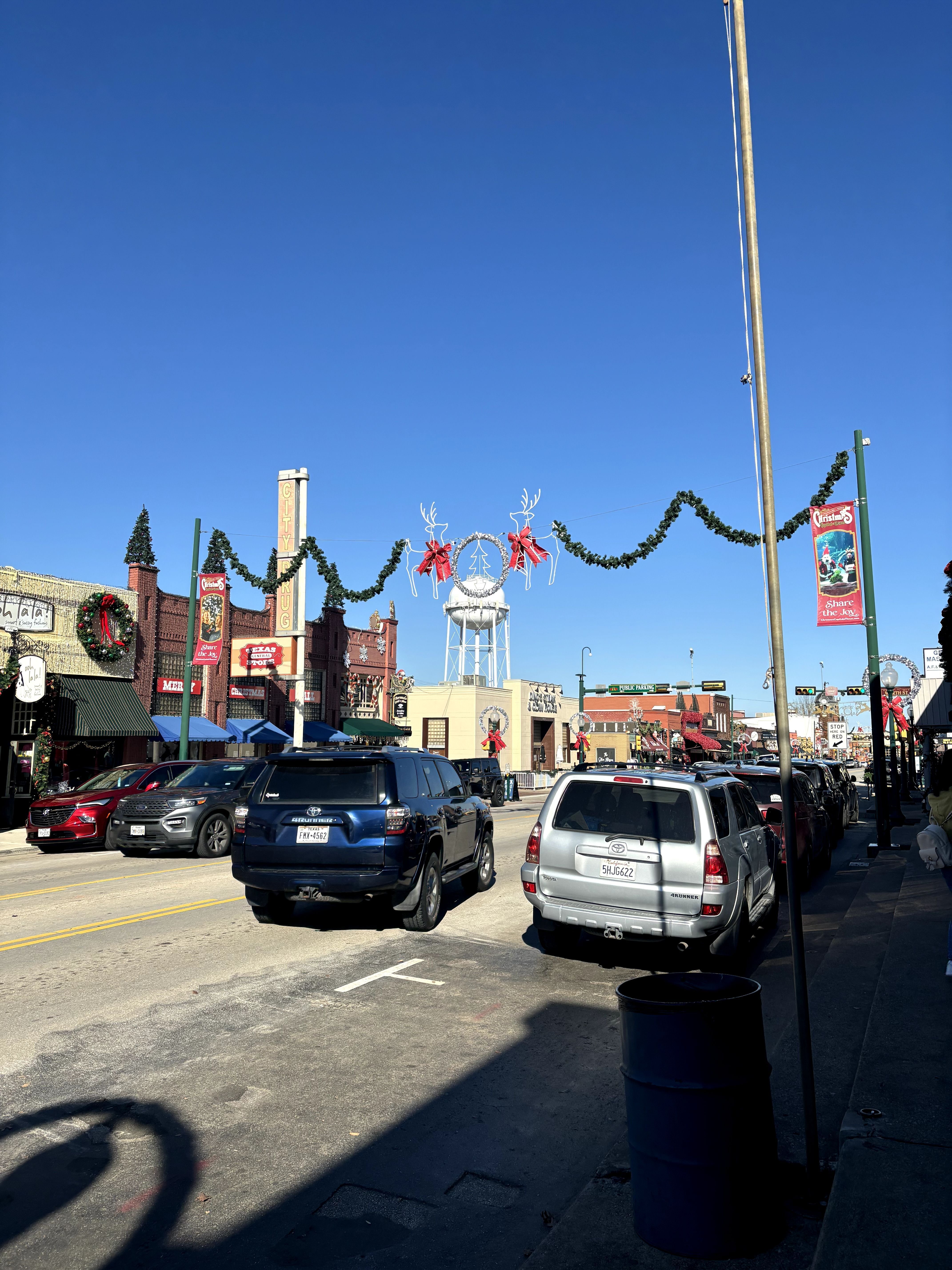 アメリカ🇺🇸テキサス州ダラス🍇グレープバインへ｜アメリカ在住🇺🇸日本語＆国語教師 IZUMI