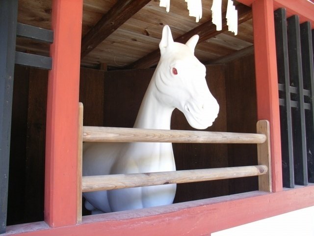 Amazon.co.jp: 敬山造 白馬黒馬絵馬図茶碗 白馬は祈晴、黒馬は祈