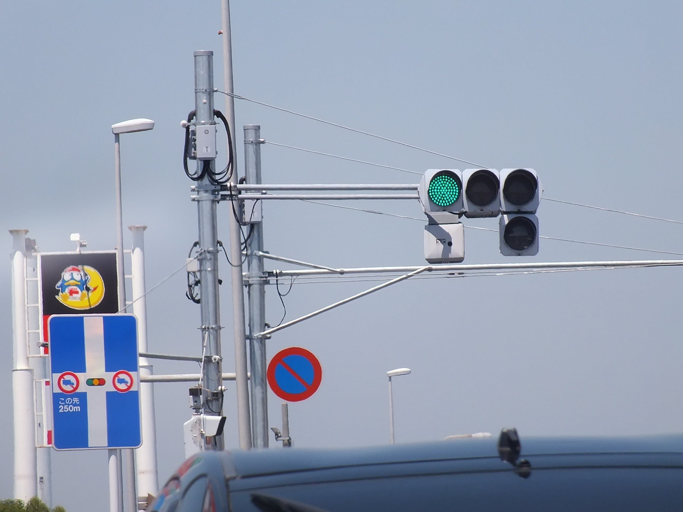 交通信号灯器　星和電機株式会社　右折　本物 交通信号機図鑑／歩行者／星和電機