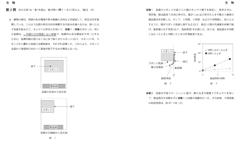 2024 共通テスト対策【生物】｜濱川学院 〜HammerAcademy〜