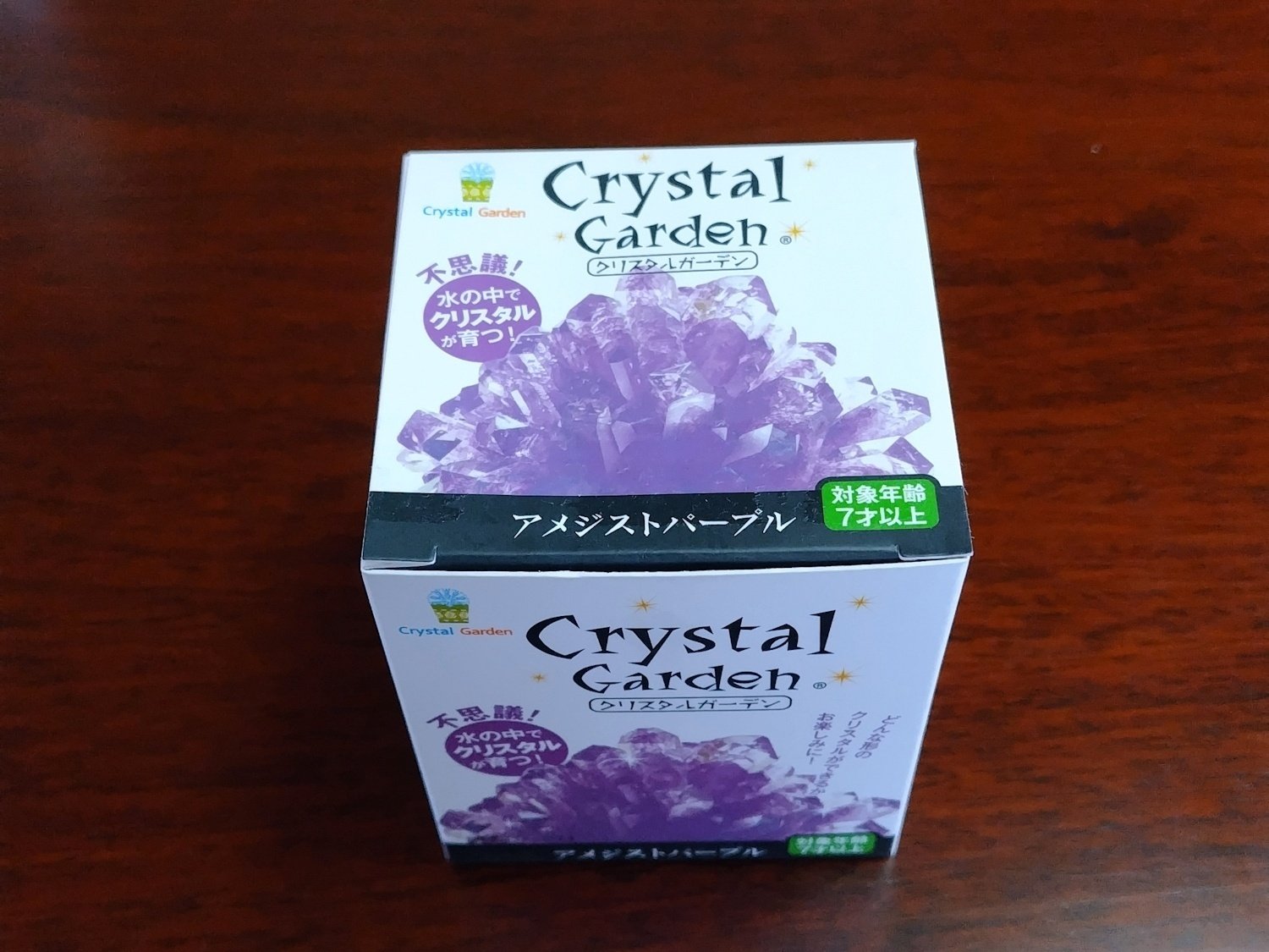 ワクワク！クリスタル育成実録・不屈のアメジスト編(完)｜杜ノ緑