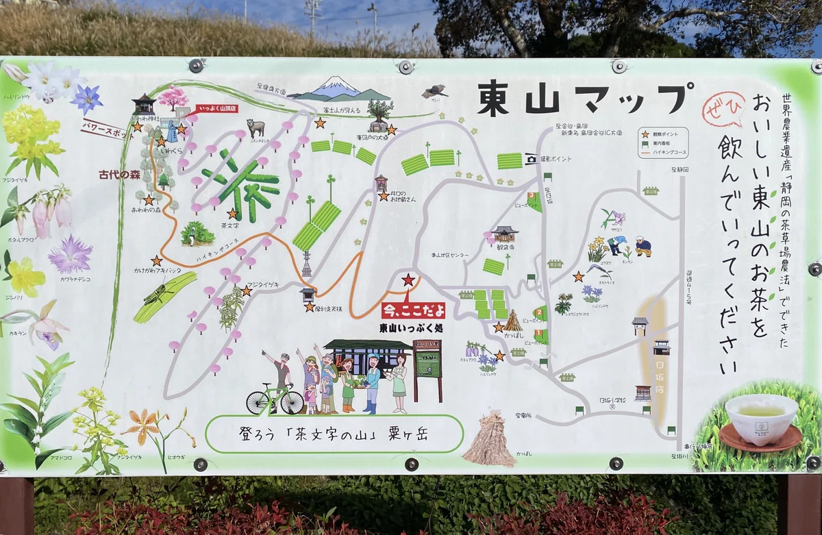 東山いっぷく処