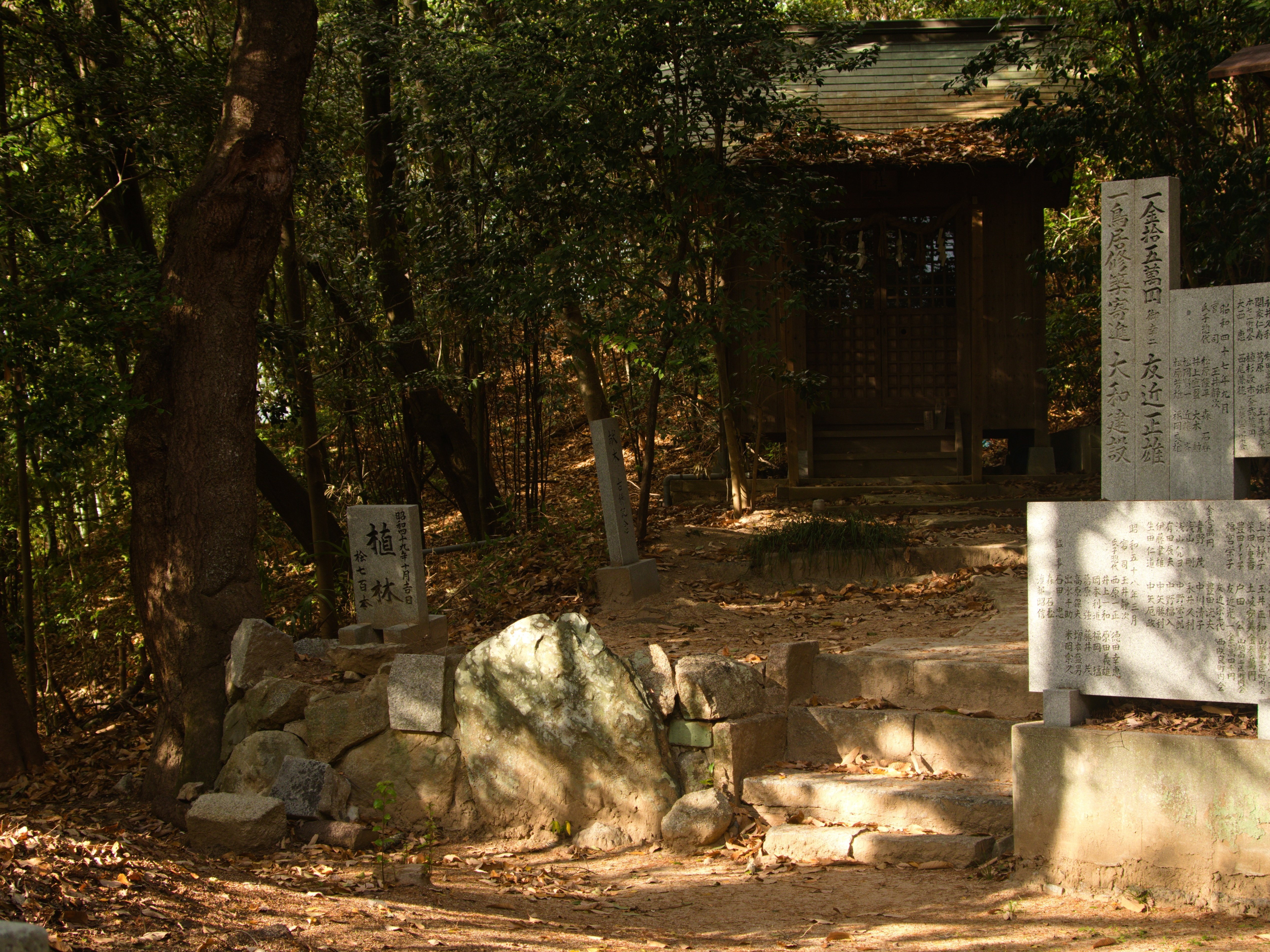 レンズ沼あれこれ：MINOLTA MD ZOOM 35-135mm F3.5-4.5｜ひっくすK