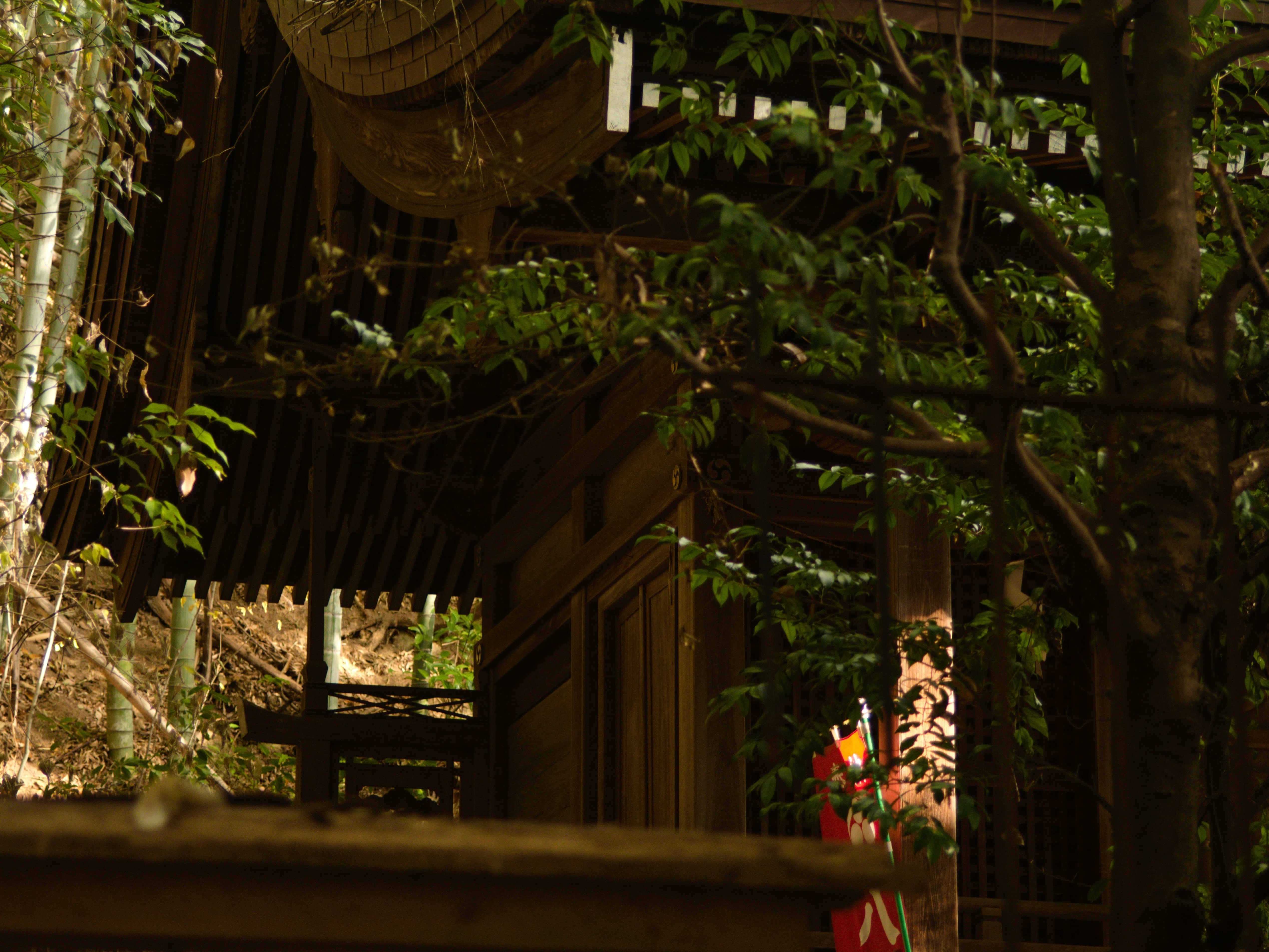 レンズ沼あれこれ：MINOLTA MD ZOOM 35-135mm F3.5-4.5｜ひっくすK