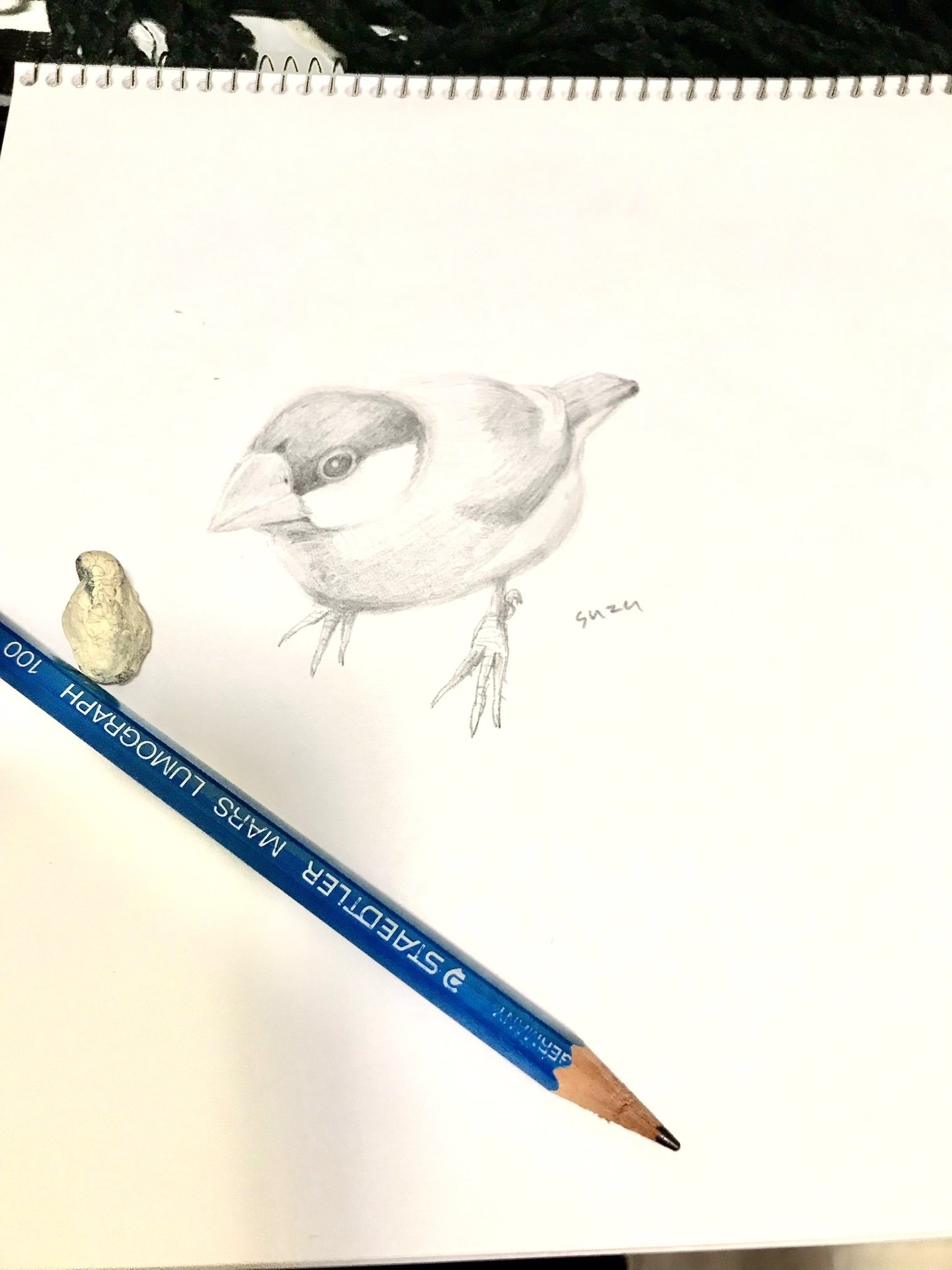 色鉛筆画 文鳥 (原画) 色鉛筆画(ハガキサイズ)「文鳥さん達」2枚セット - メルカリ