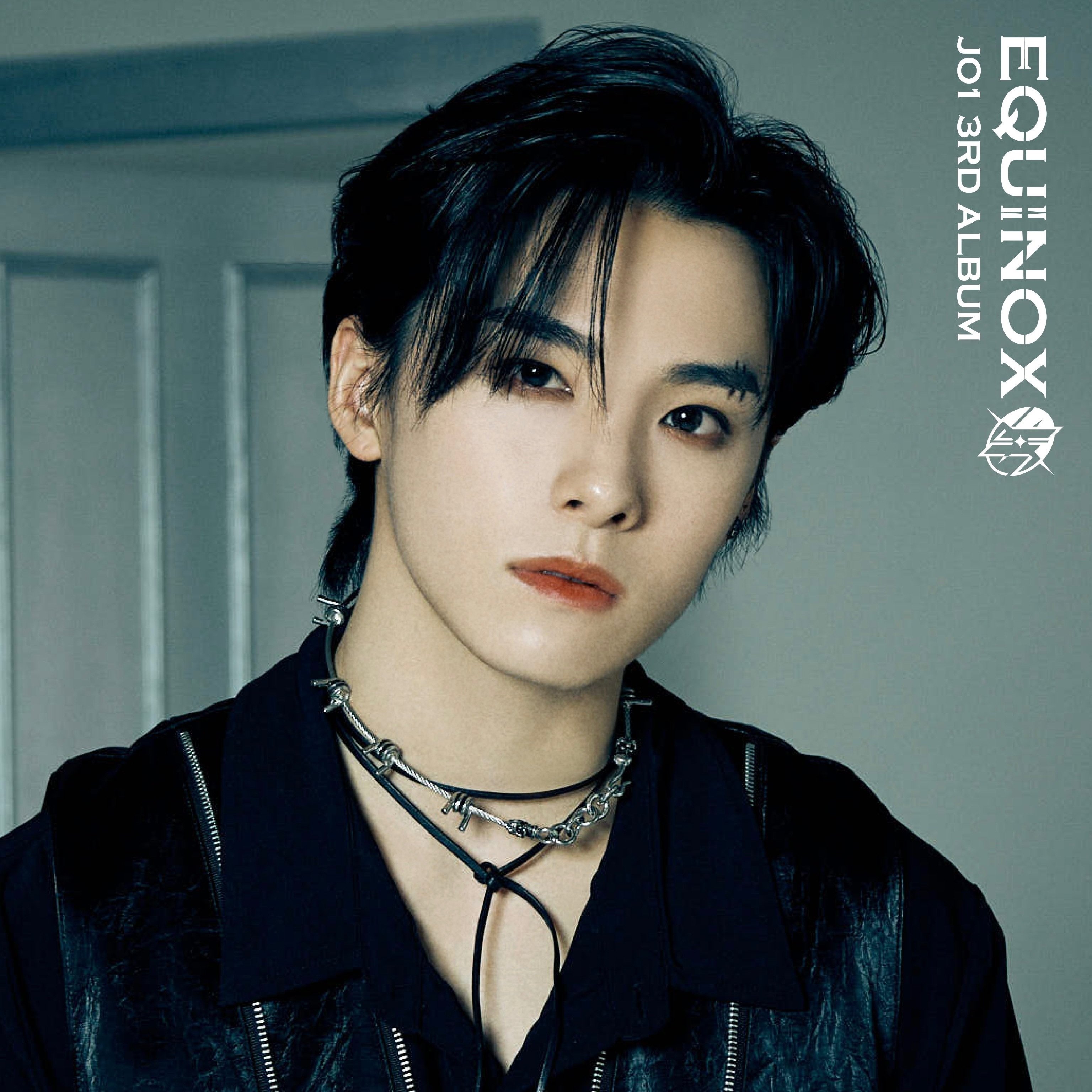 JO1 川西拓実 祭り 花火 トレカ コンプ セルカ D JO1 川西拓実 セット