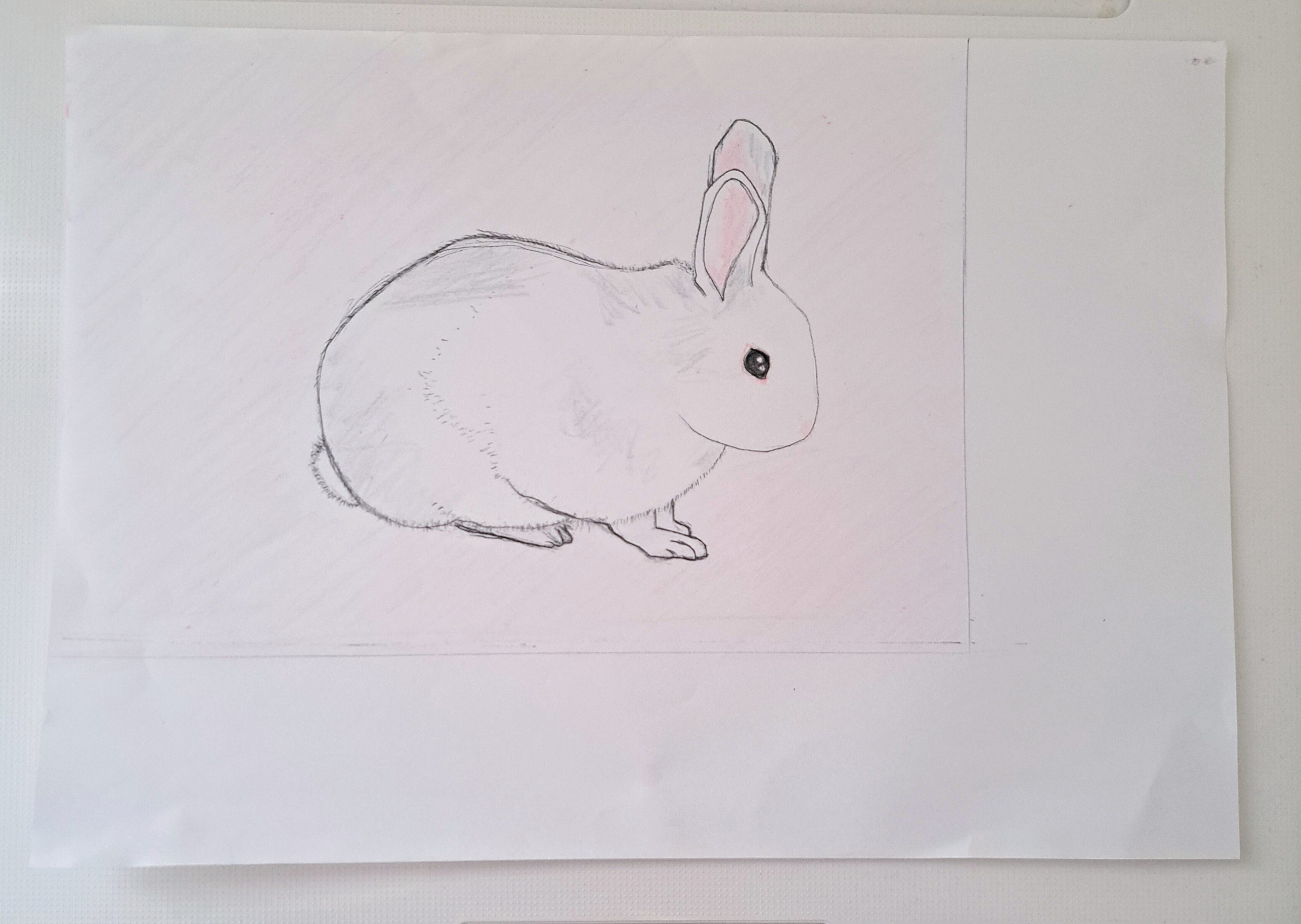 ウサギの絵画の通販 by Yuris's shop｜ラクマ
