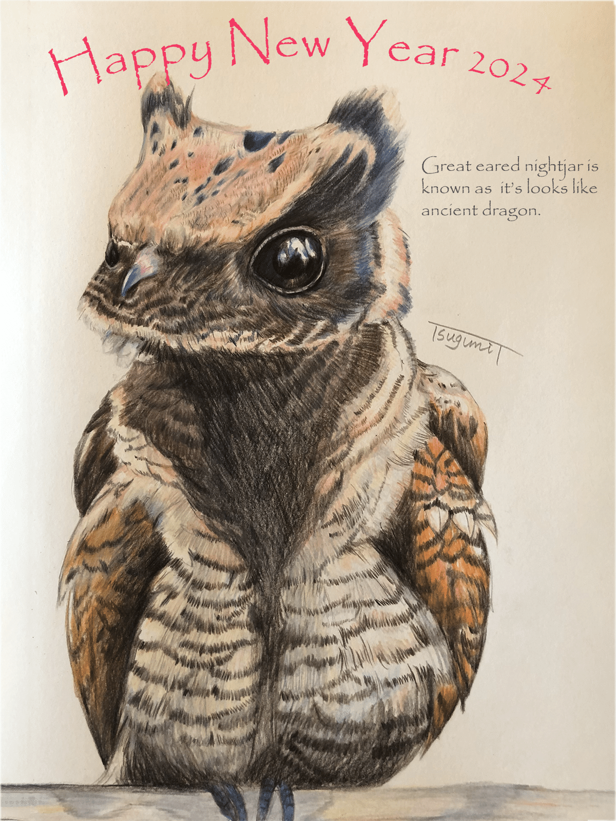 新年のご挨拶に代えて 鳥の絵を載せるだけの日 24｜橘鶫TachibanaTsugumi