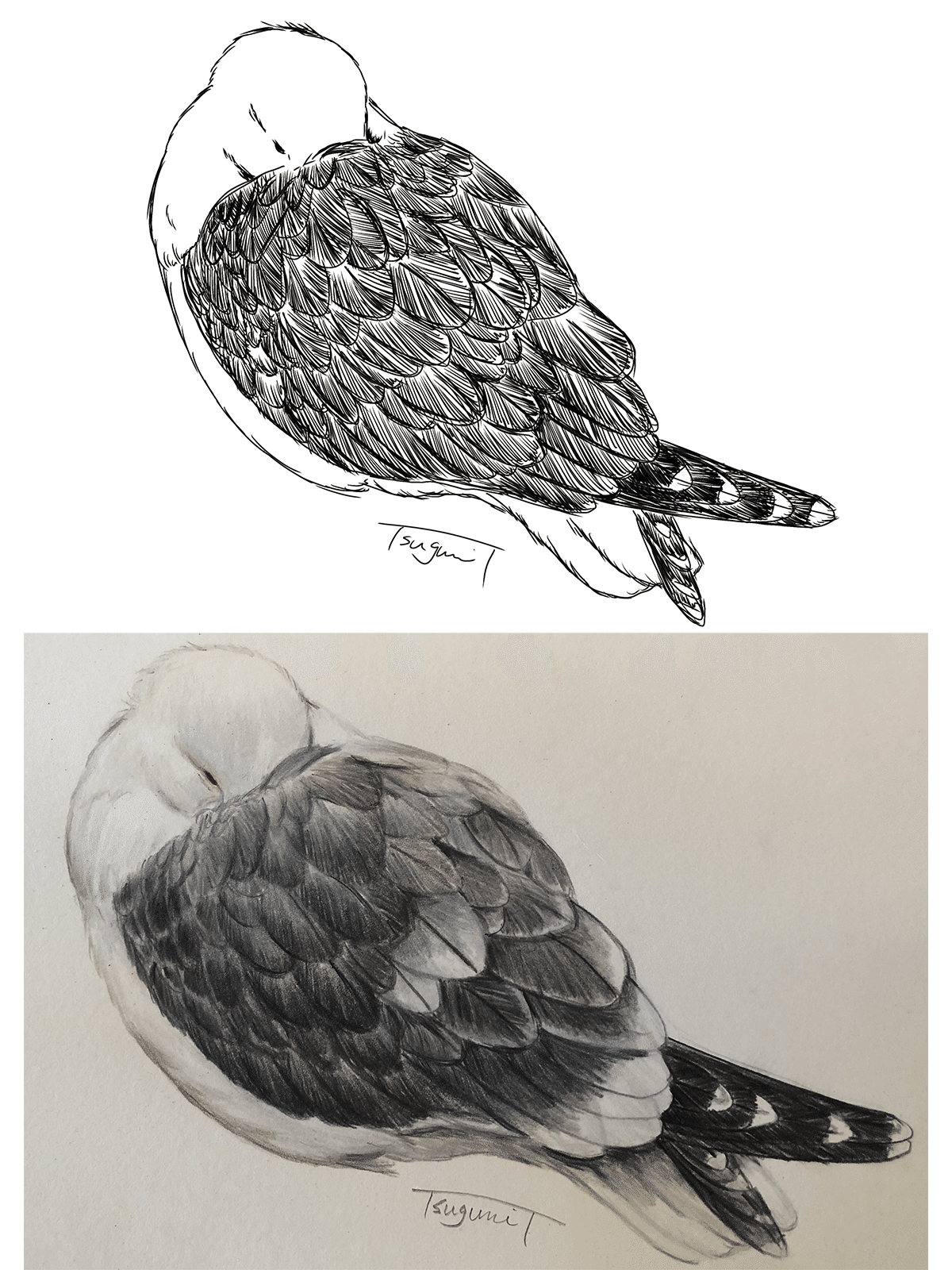 Gama氏作  鳥の絵  その2 Gama氏作 鳥の絵 その2