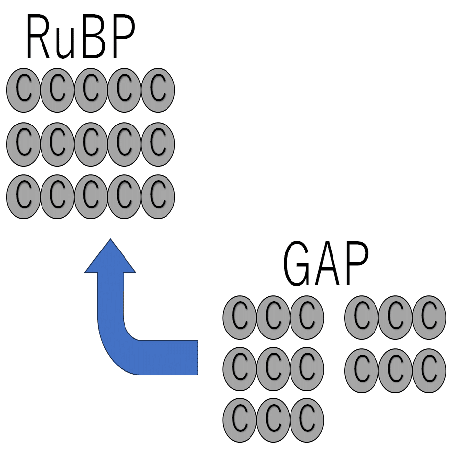 高校生物】代謝③「光合成とはどのような反応か？」｜矢口はっぴー, image size:1237x927