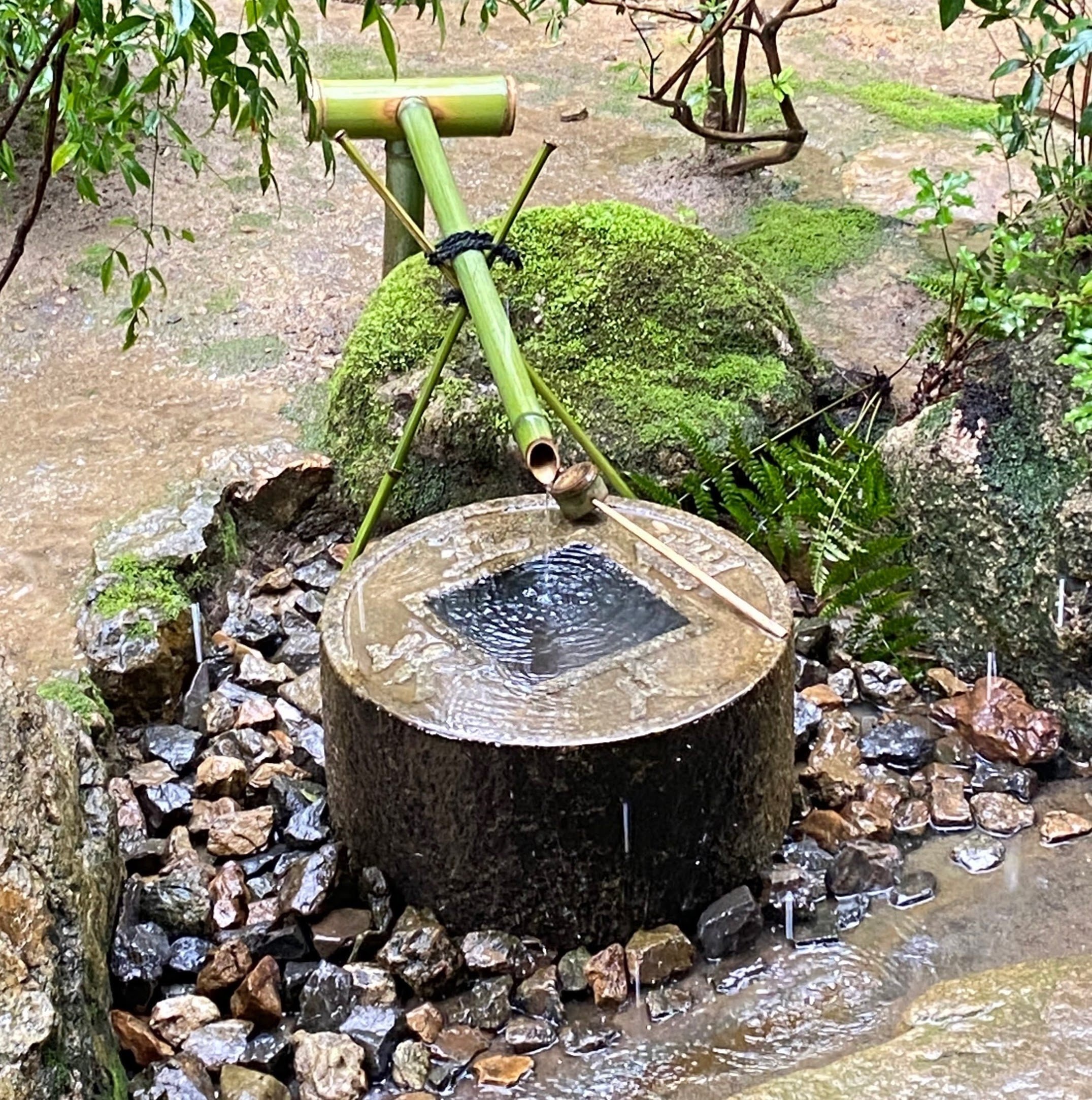 京都時間.jp】第20回 禅の心 石の芸術：龍安寺庭園の深遠な世界