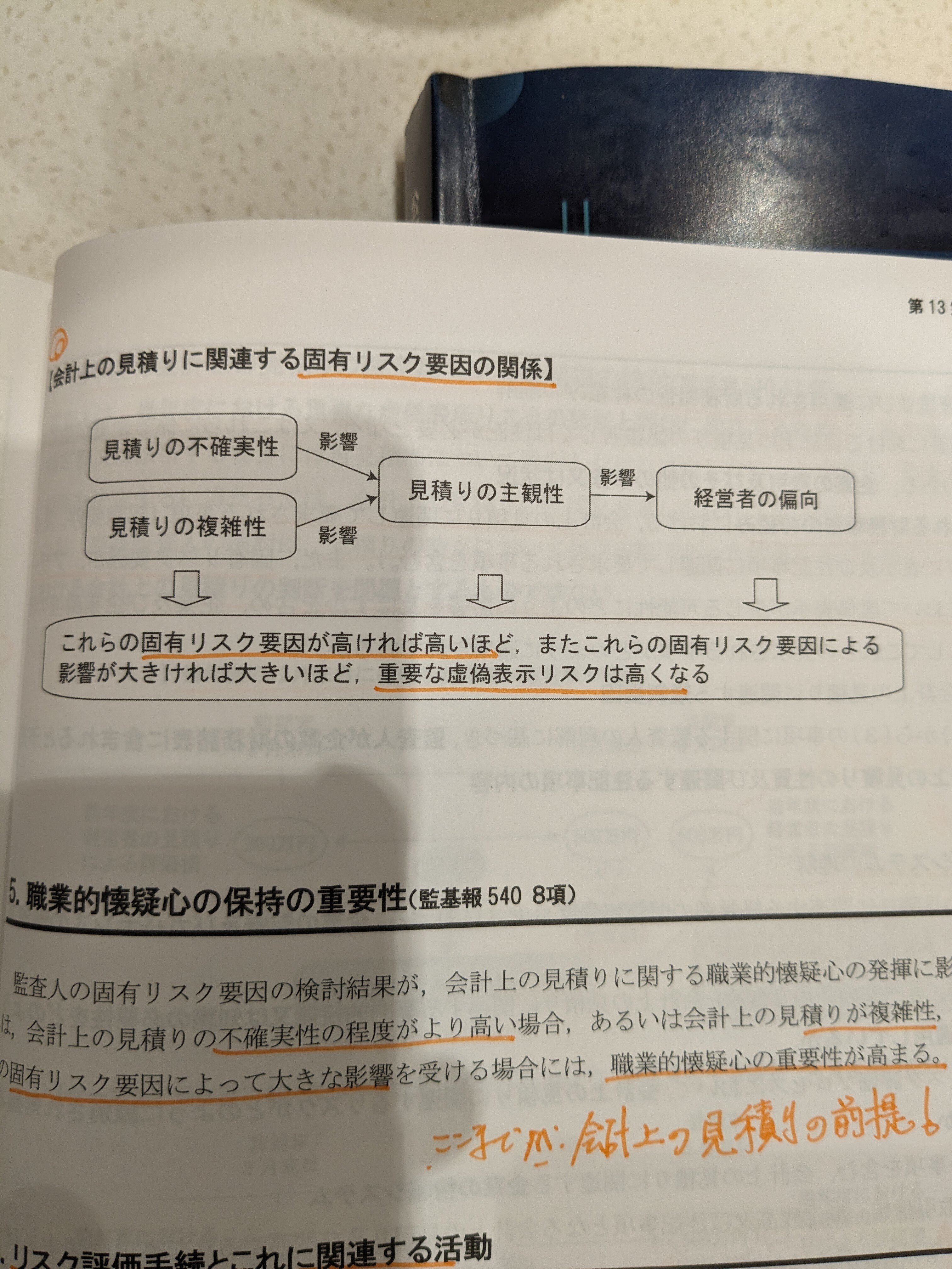 監査論見直し用|社畜 監査論見直し用|社畜