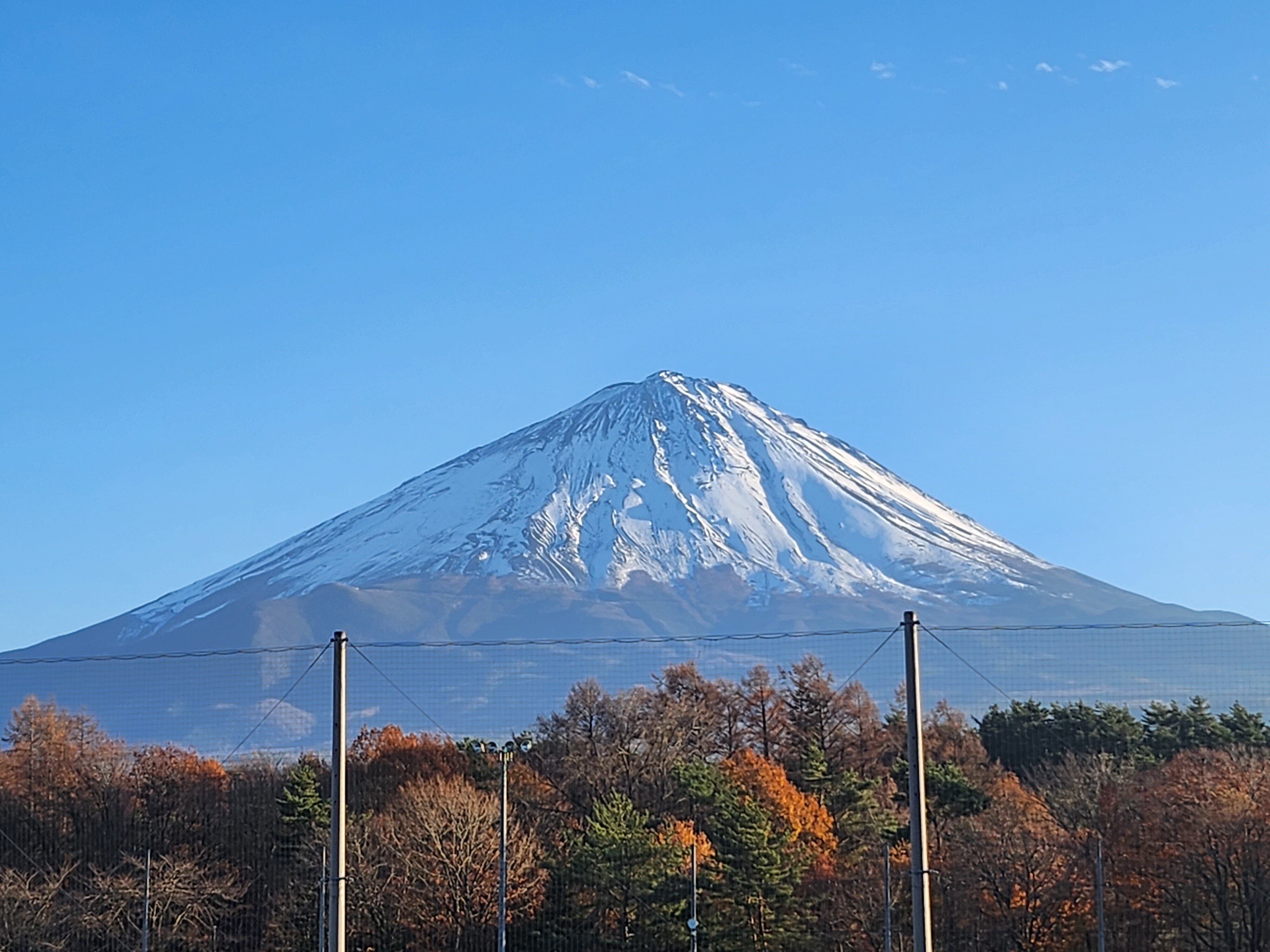 富士山ばば　専用 富士桜自然墓地公園 富士山の見える道 絶景を走る 日本の美しい道