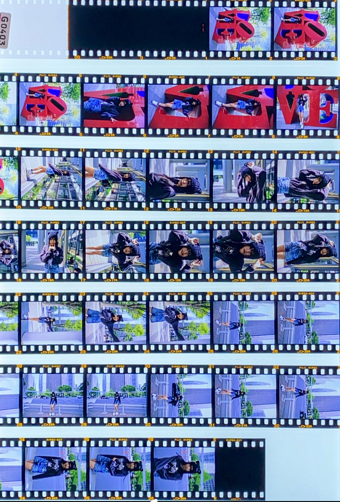 フジフイルムVelvia220リバーサルフイルム フジフイルムVelvia220リバーサルフイルム