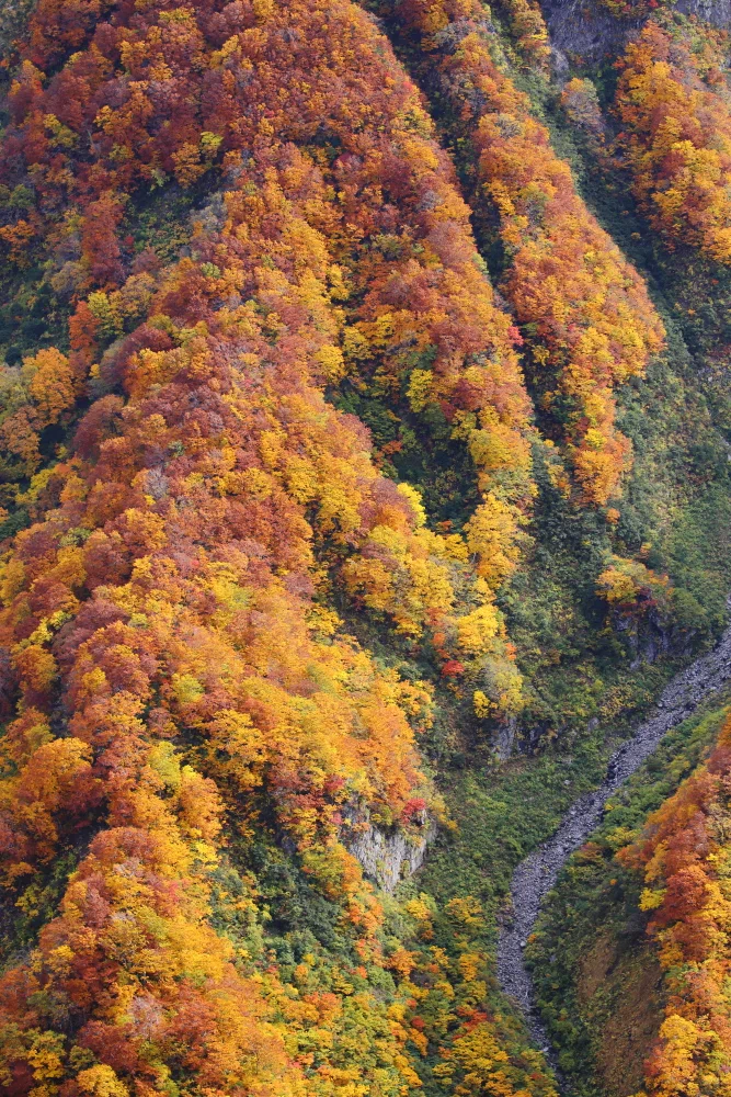 秋の東北 ｱｳﾄﾊﾞｯｸ車中泊旅（後編） ｜TKohtarou