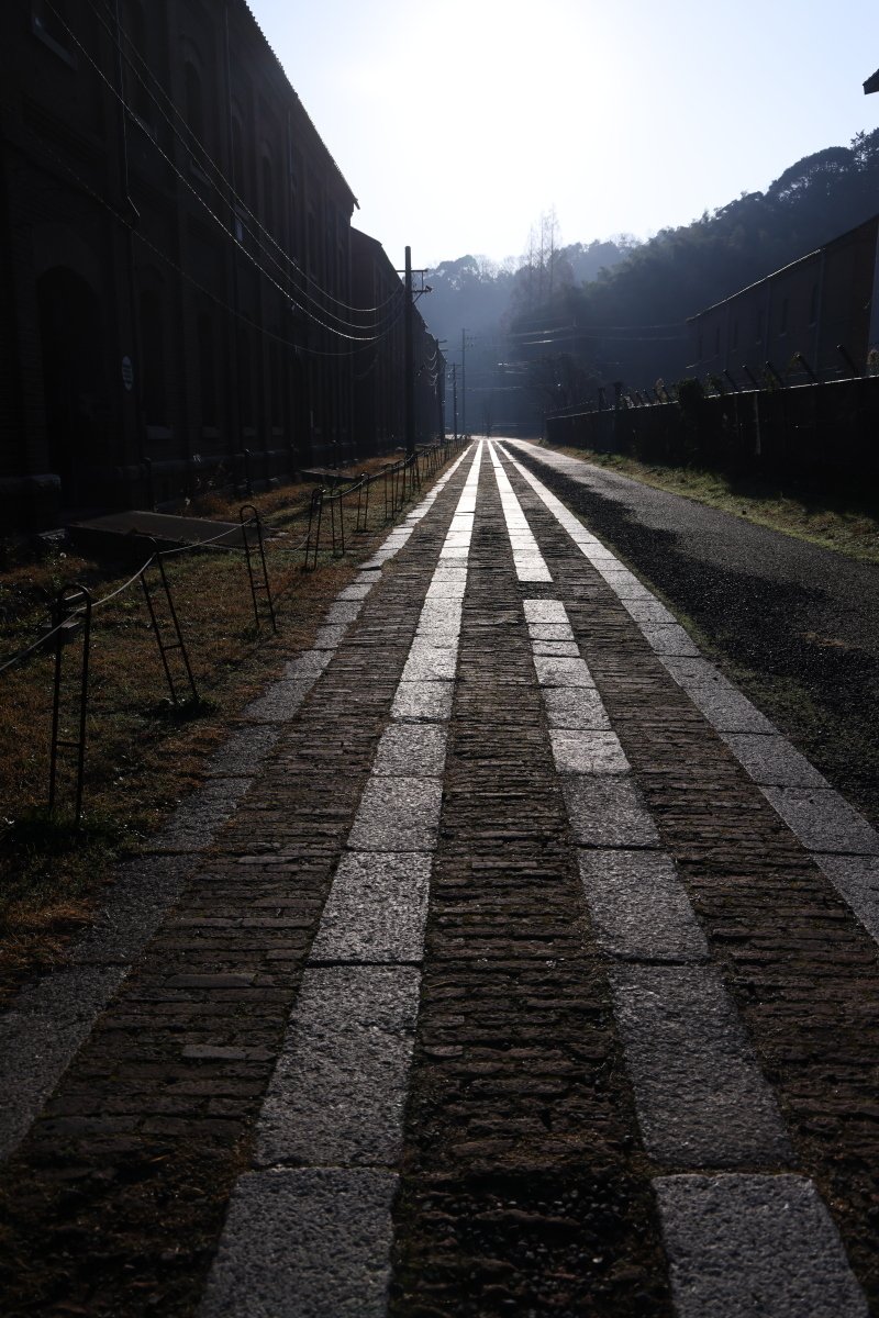 映画ロケにも何度か使われた赤レンガ倉庫の傍にある道。朝日に照らされて輝いてます。